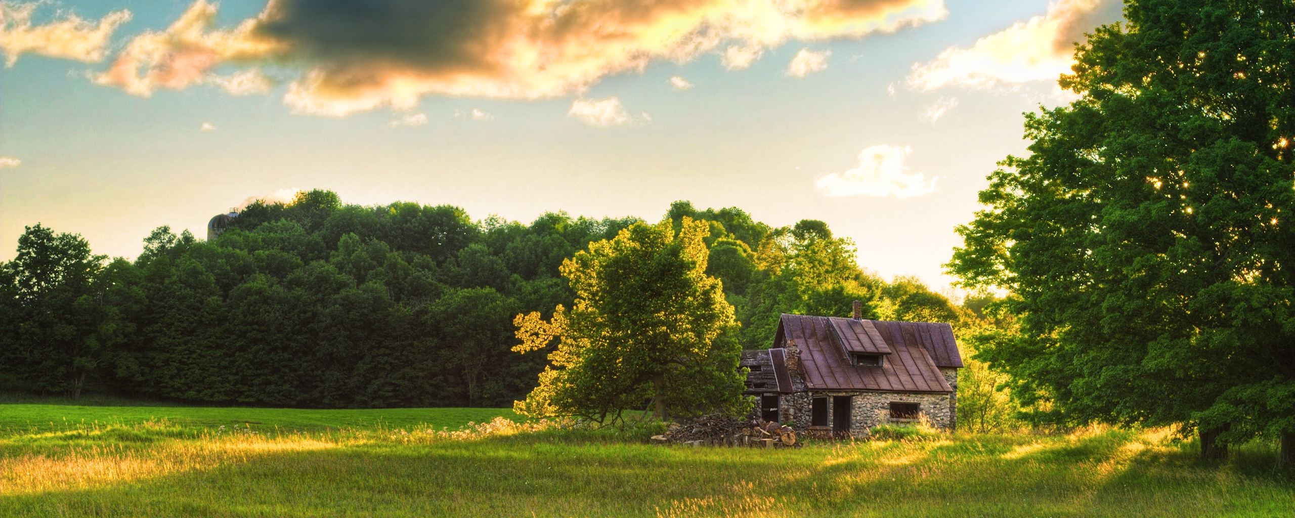 Домик в лесу обои