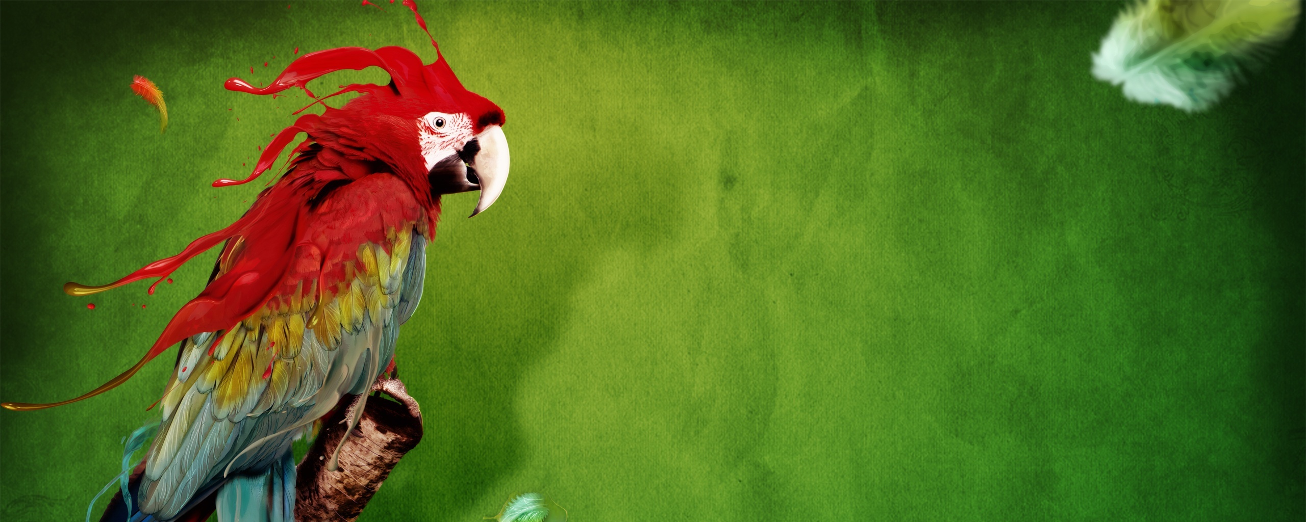 Попугай на ветке обои