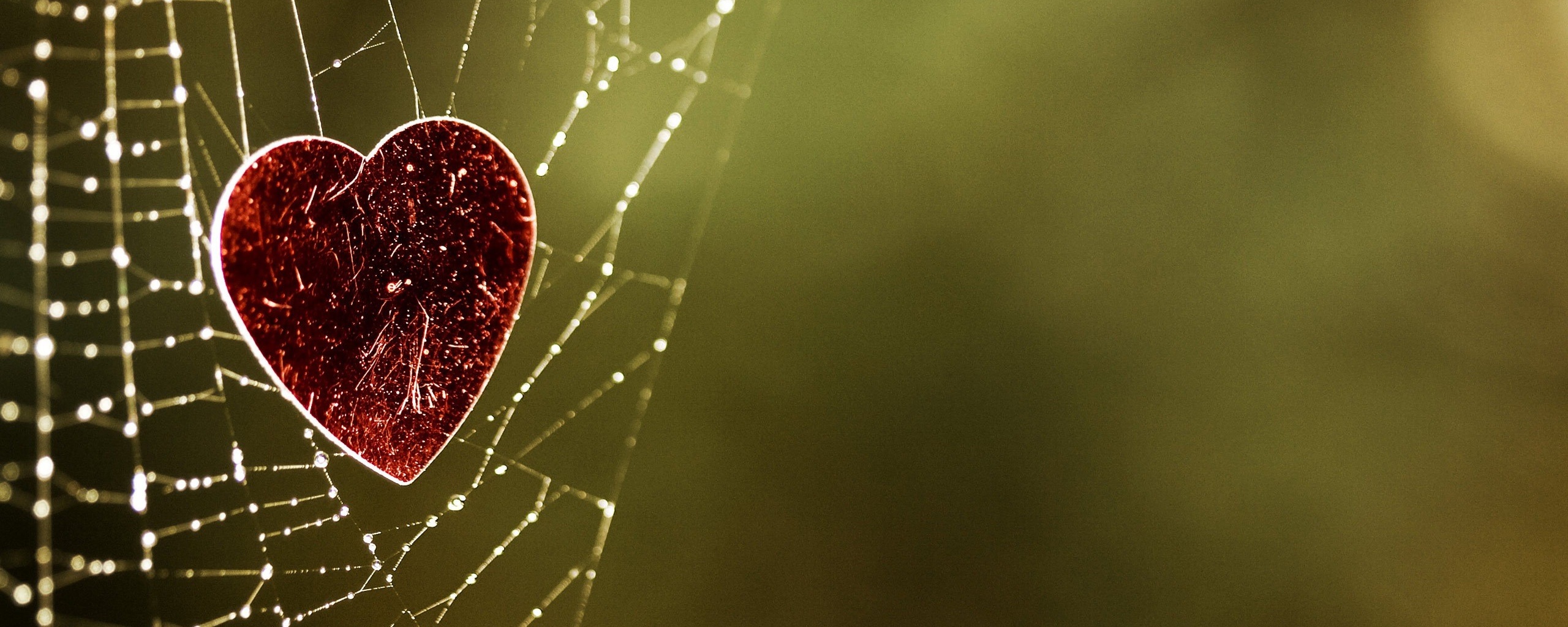 Запутавшаяся любовь.. обои