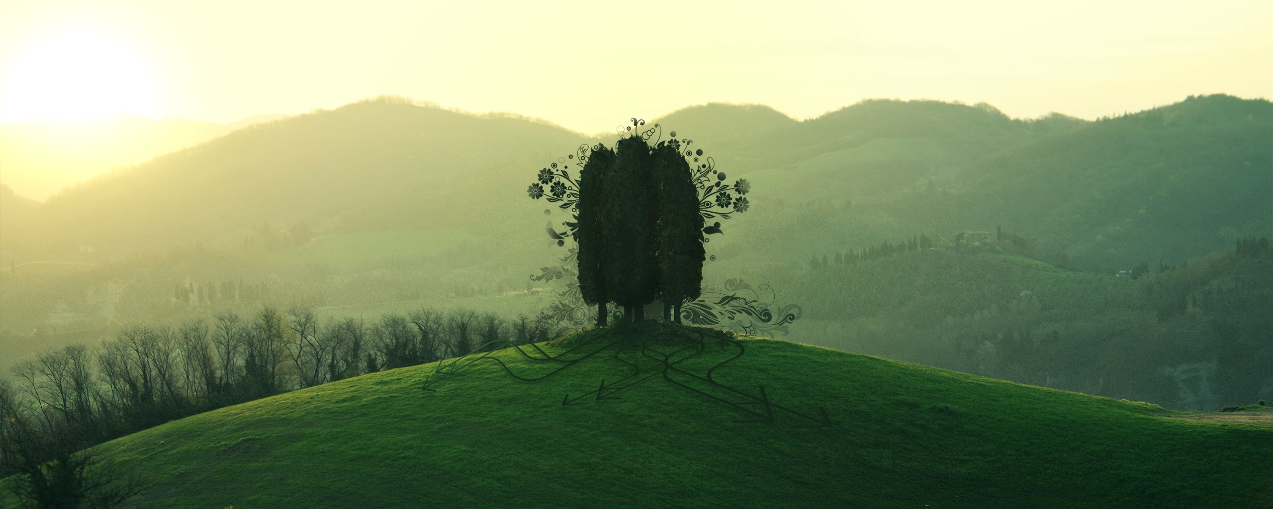 Деревья на холме обои