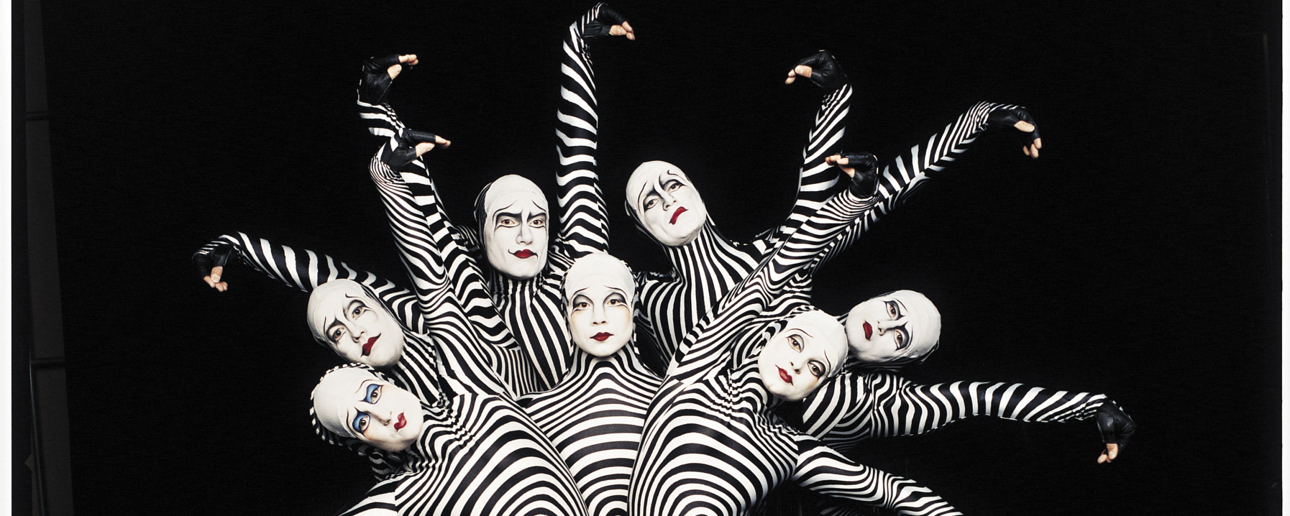 Зеброиды (актеры цирка дю солей) обои
