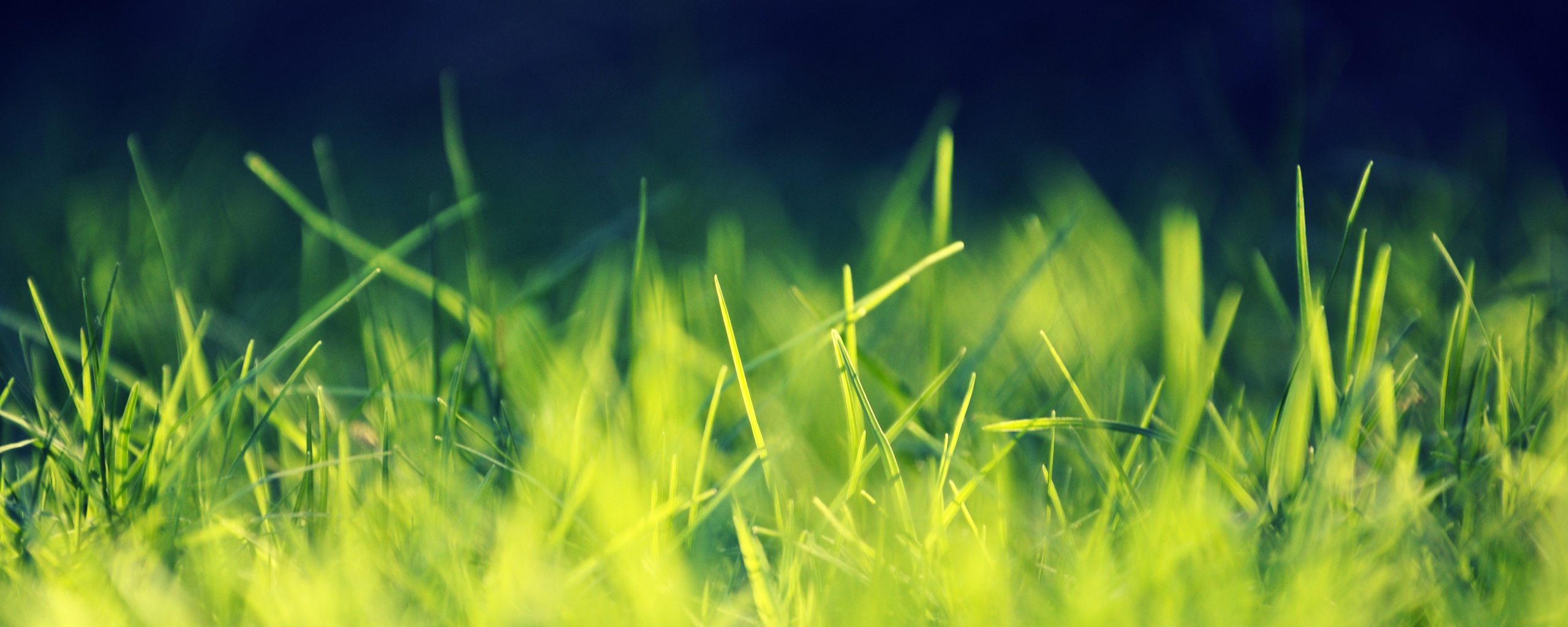 Играя солнечным светом обои