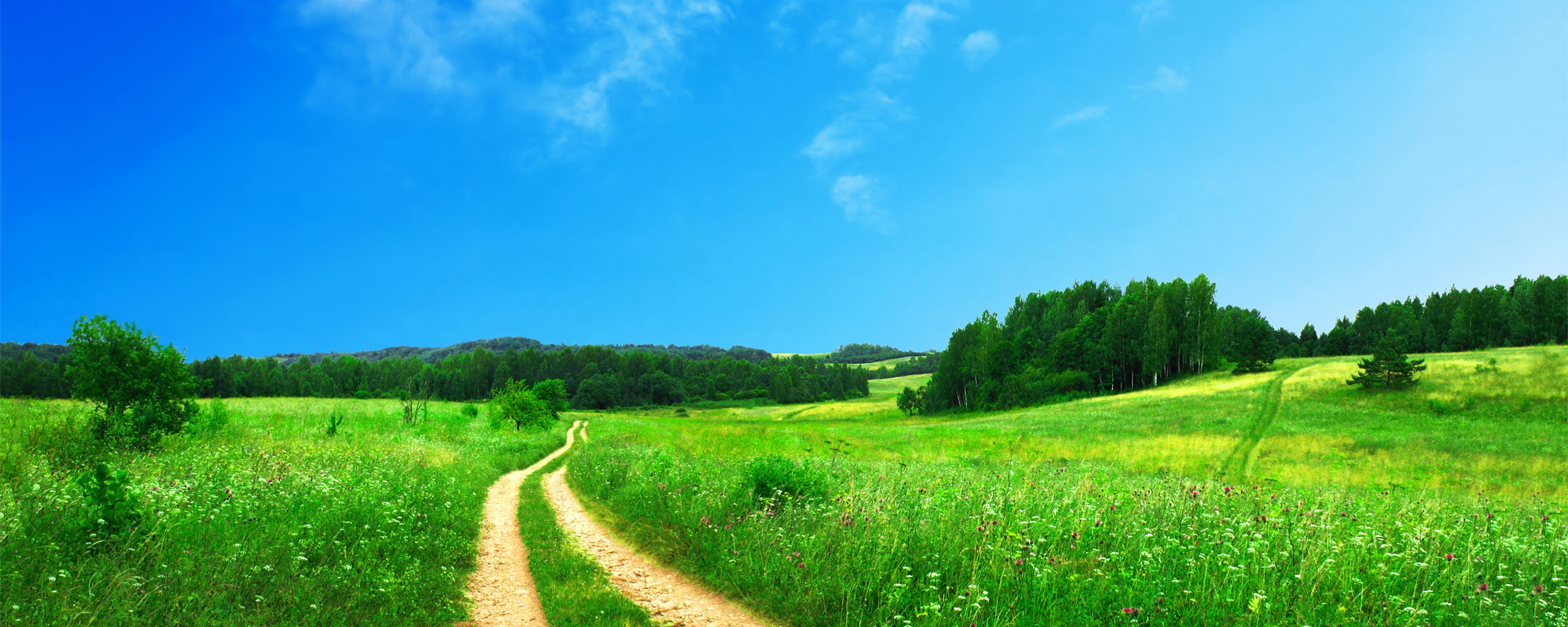 Дорога через луг обои