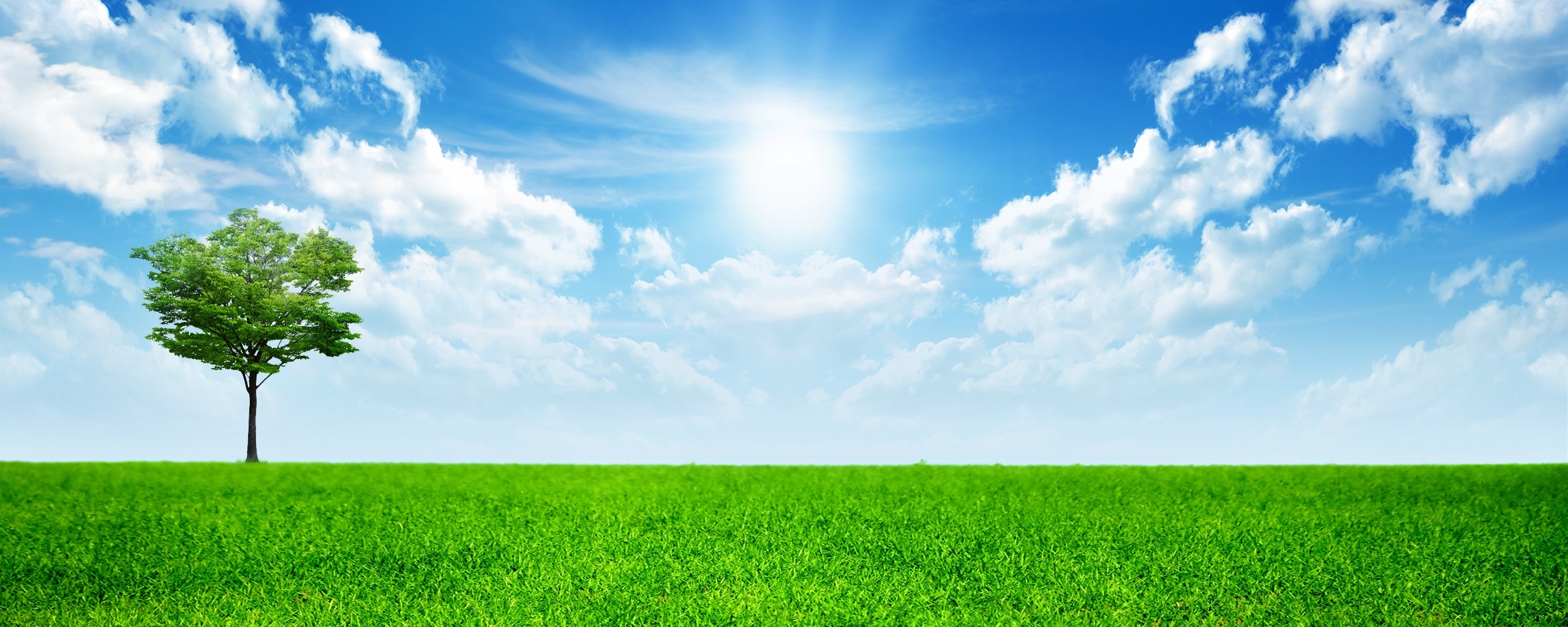 Один в целом мире обои