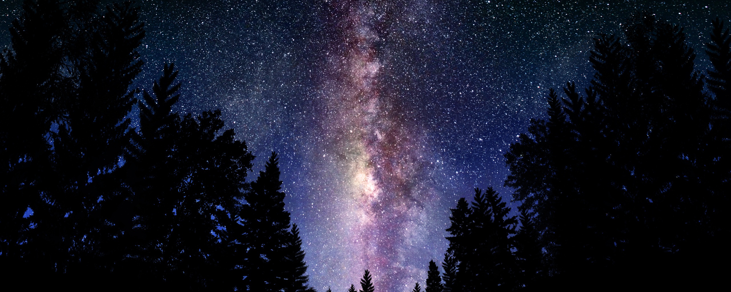 Лесной пейзаж обои