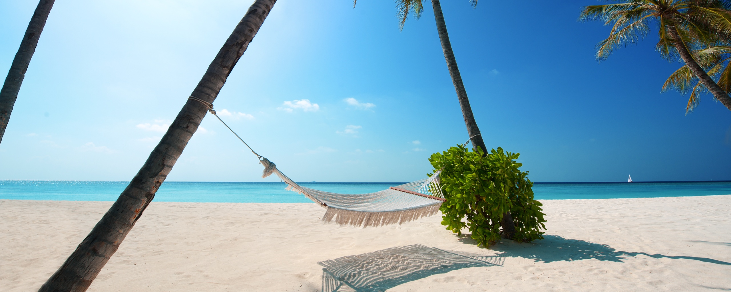 Тропический рай обои