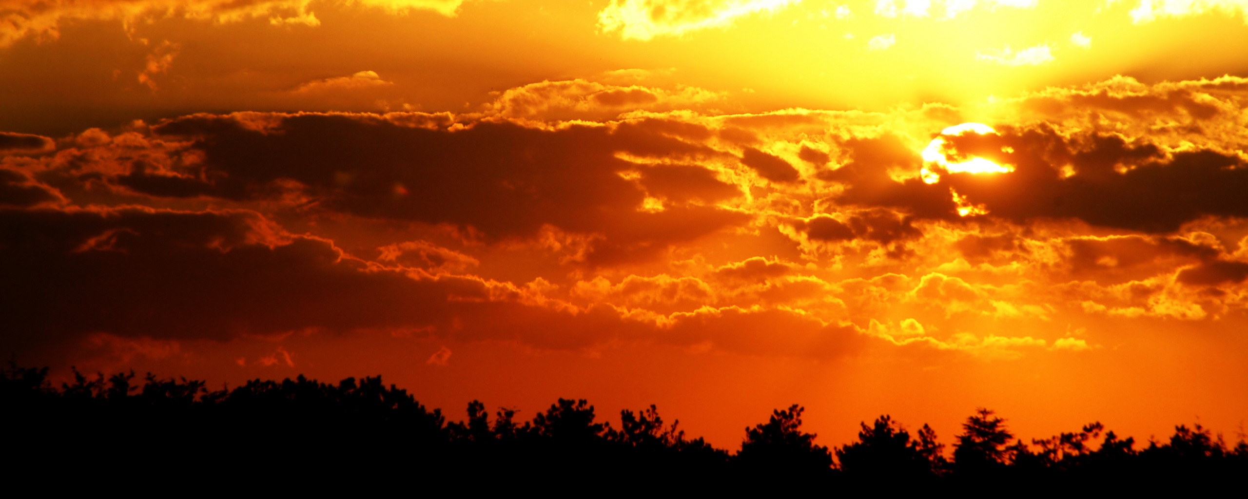 Ярко-оранжевое закатное небо обои