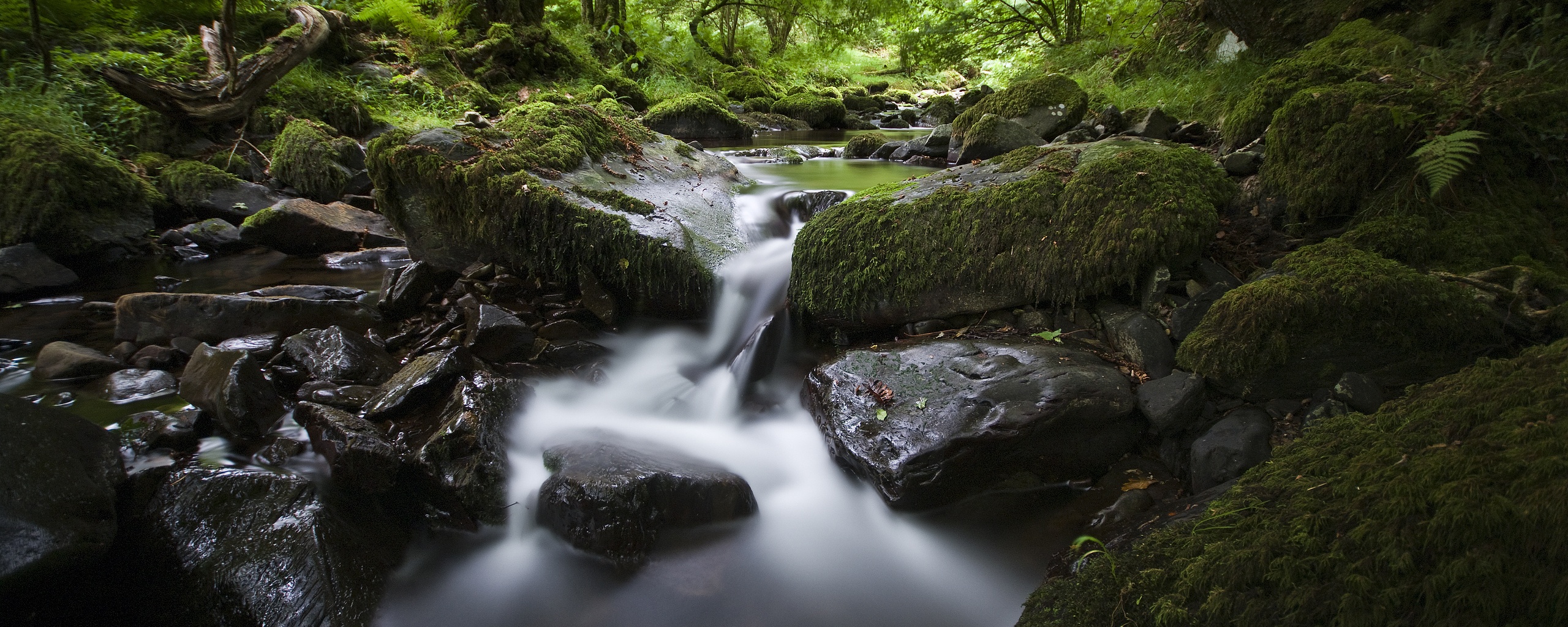 Речной поток в лесу обои