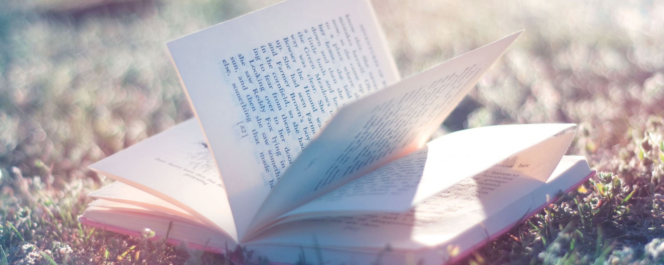 Книга в нежном свете обои