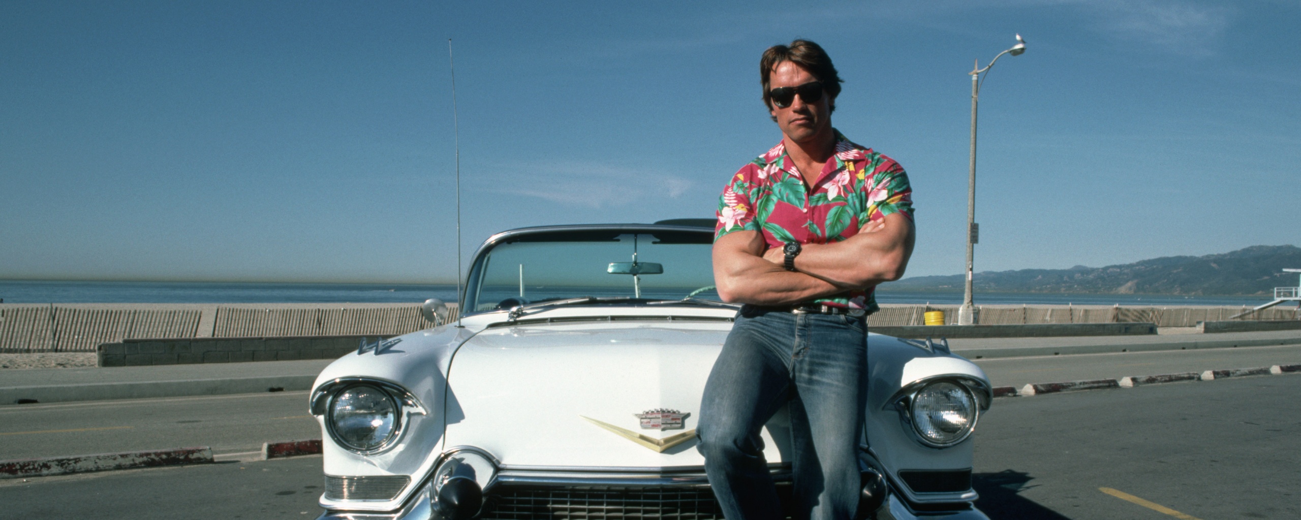 Арнольд Шварценеггер обои