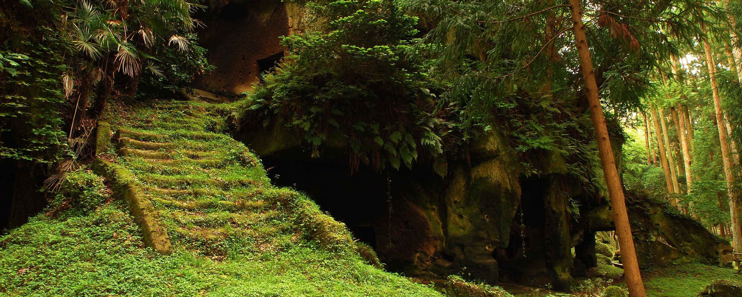 Старинный лесной храм обои