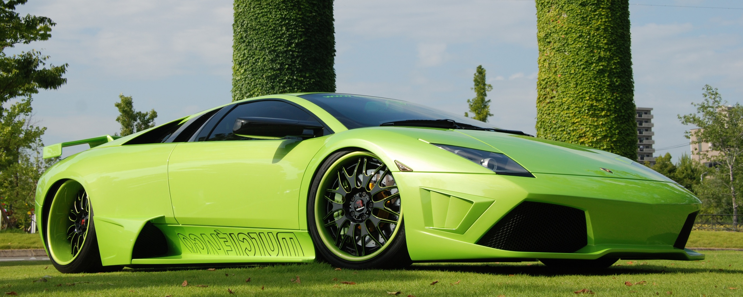 Зелёный Ламборджини на траве обои