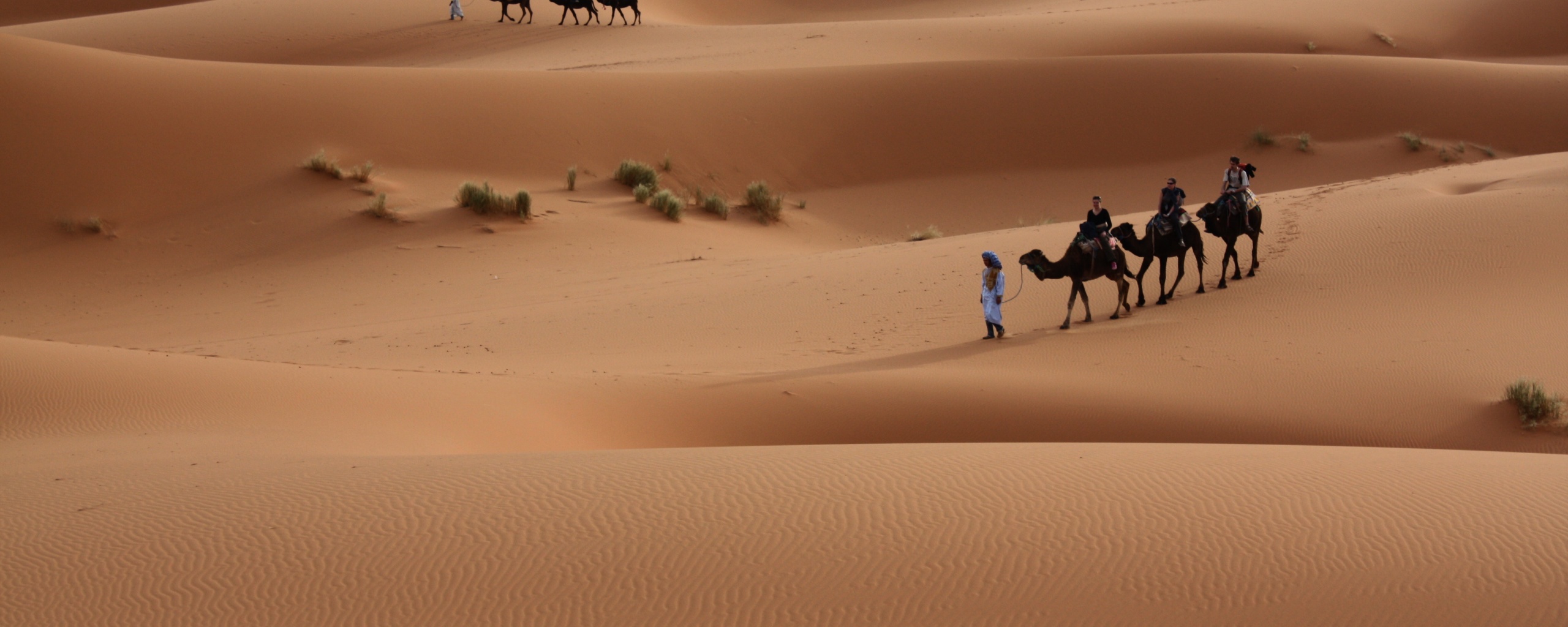 Караваны пустыни обои