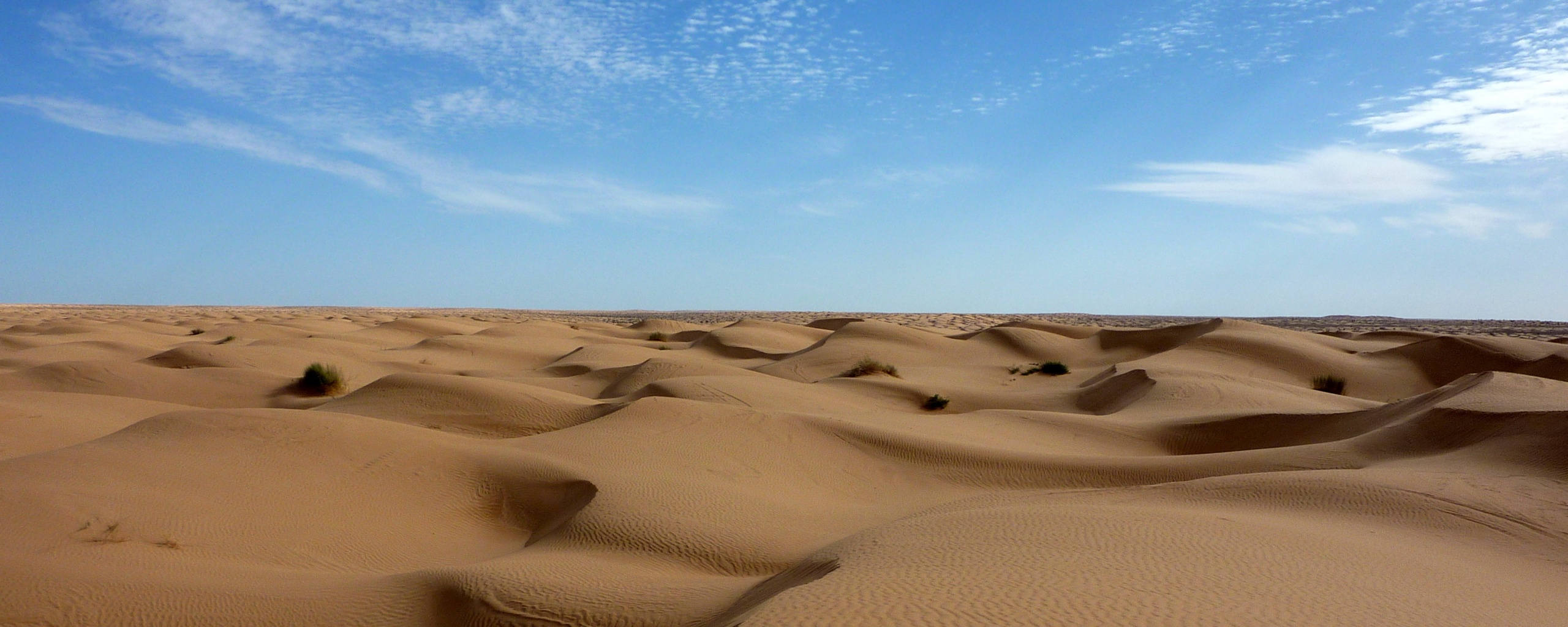 Пустыня до самого горизонта обои