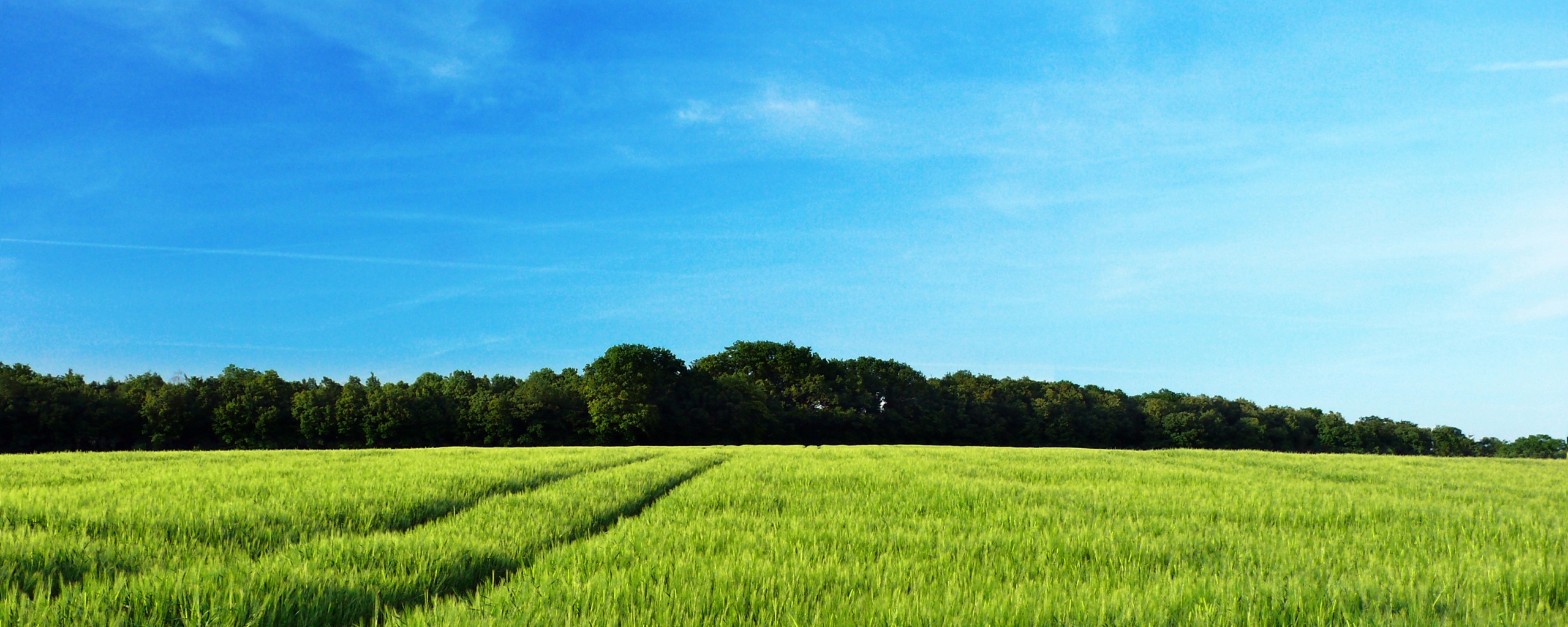 Следы колеи в поле обои