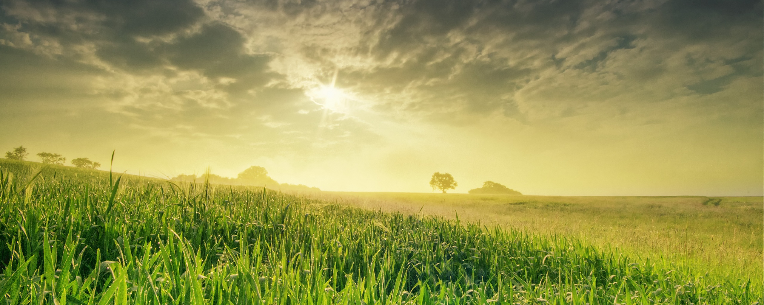 Безмятежность обои