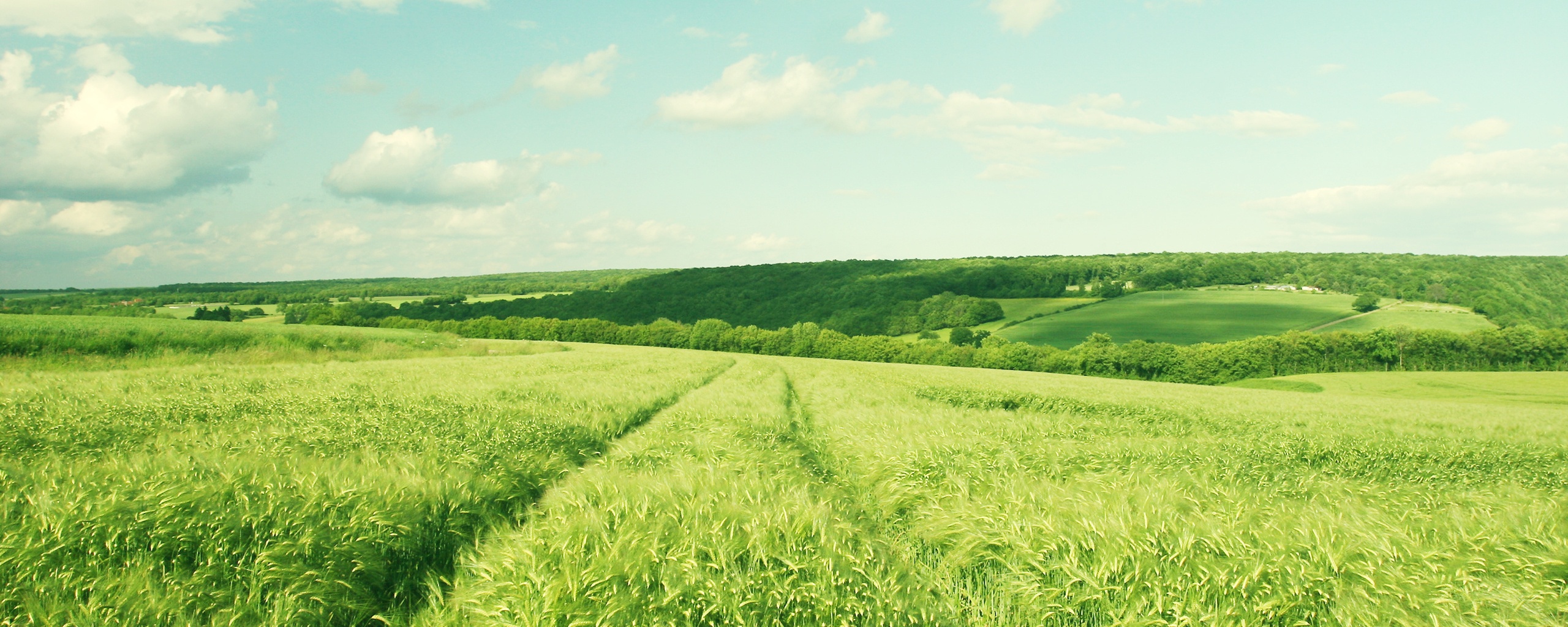 Бескрайние просторы обои