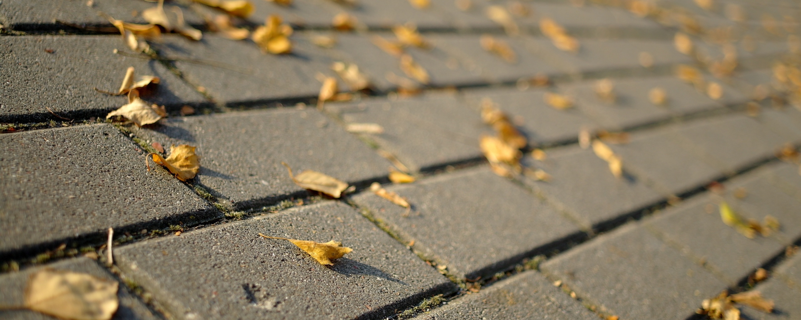 Тротуар обои