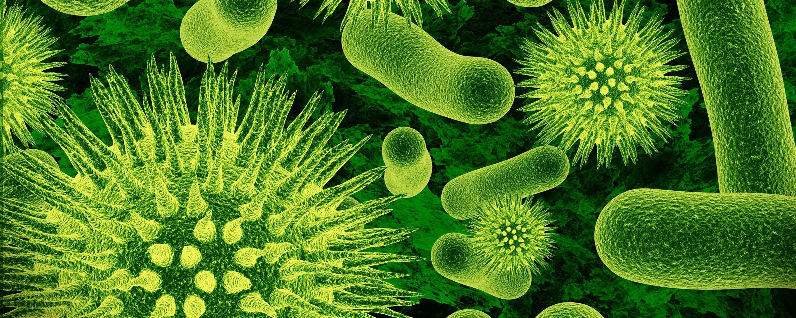 Бактерии обои