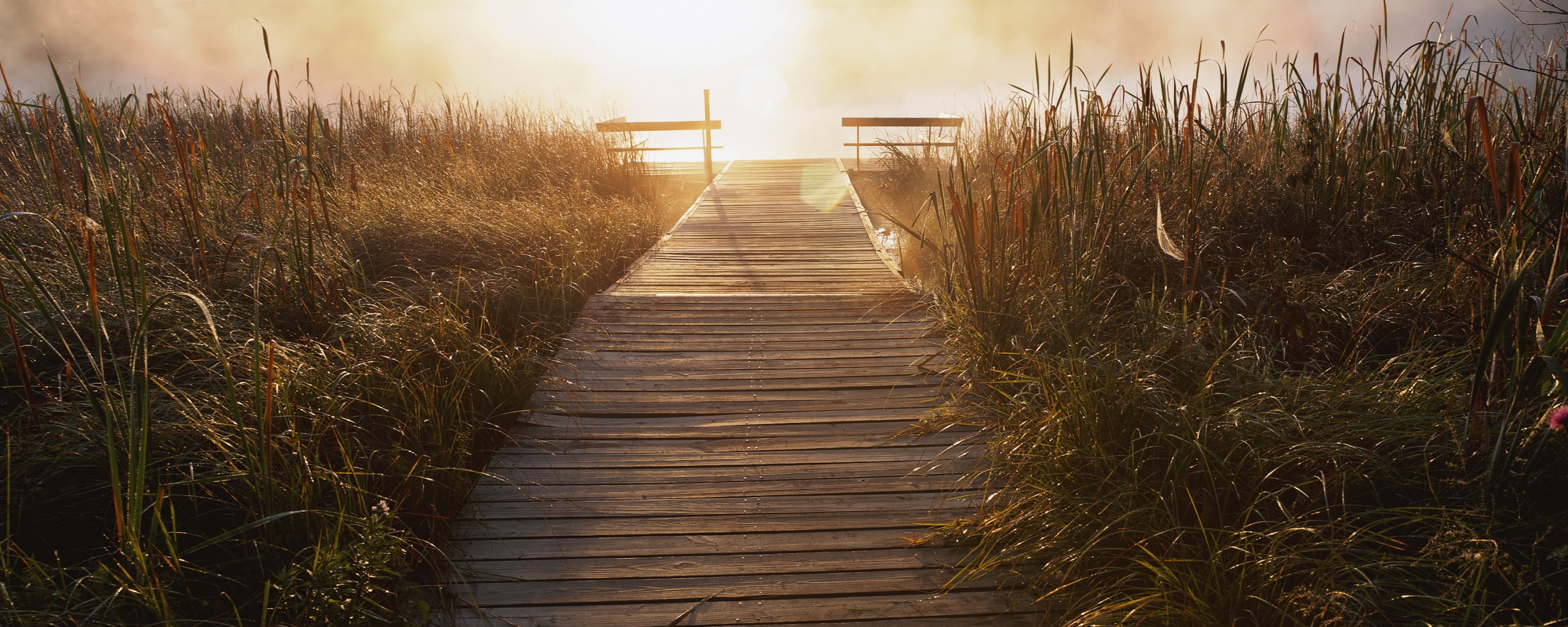 Выход к реке обои