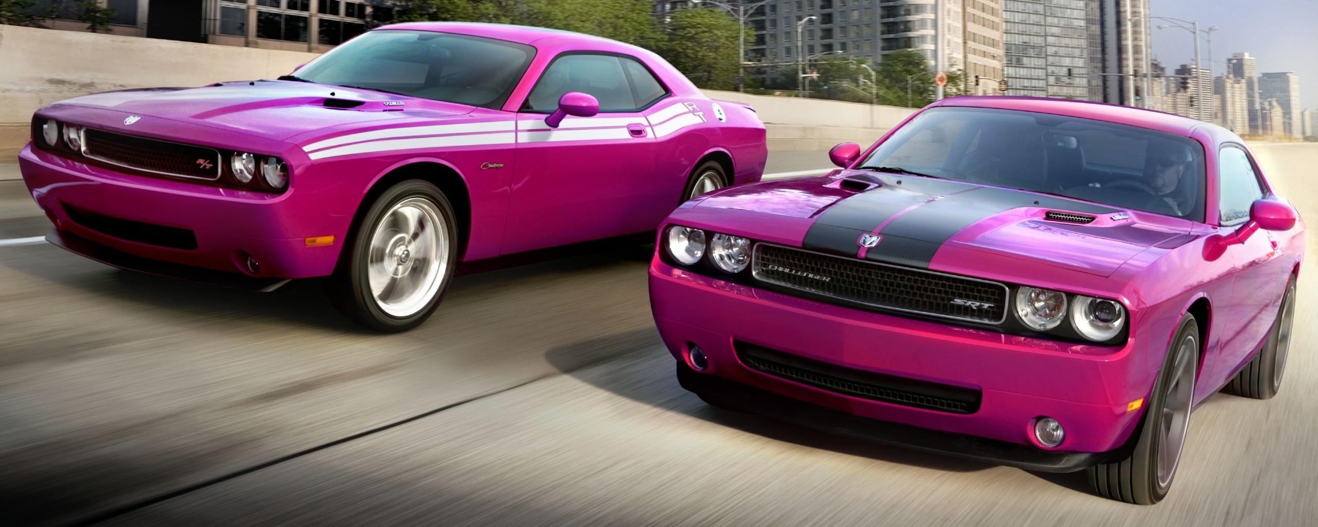 Два розовых мускулкара обои