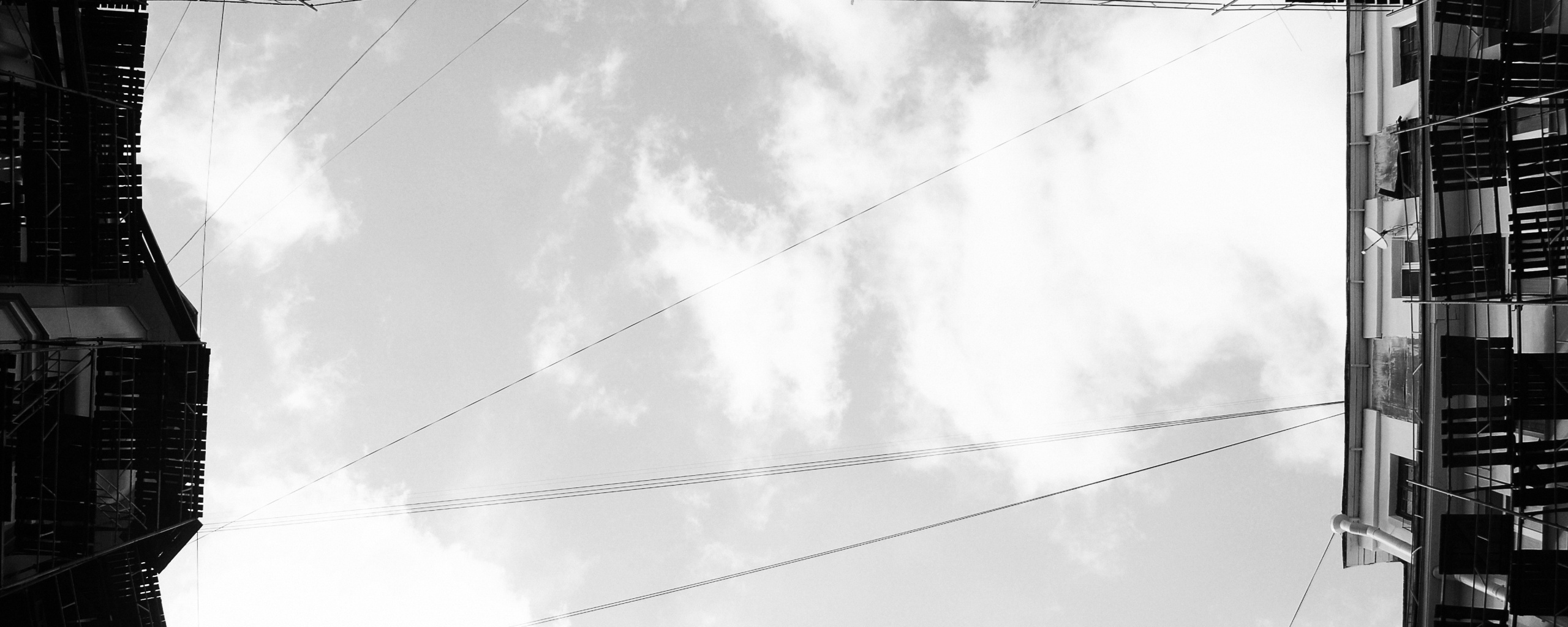 Человеческий муравейник обои