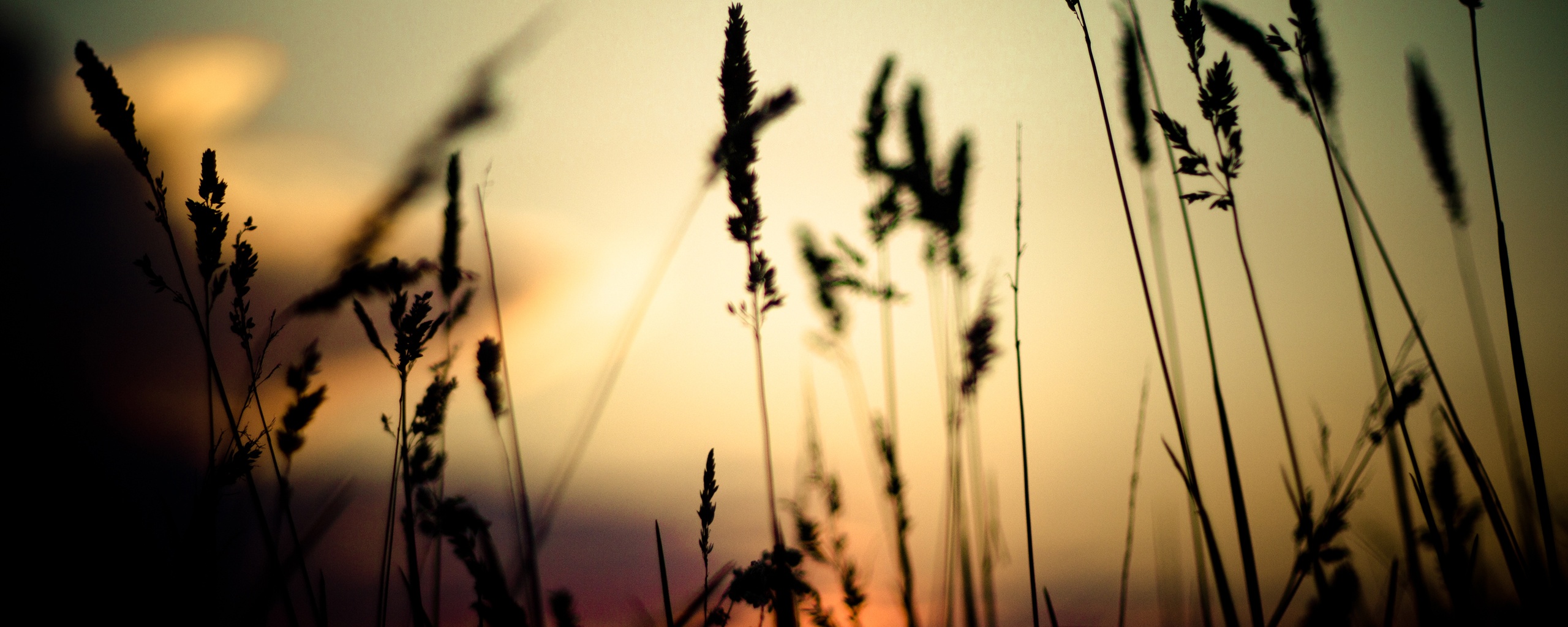 Дыхание природы обои