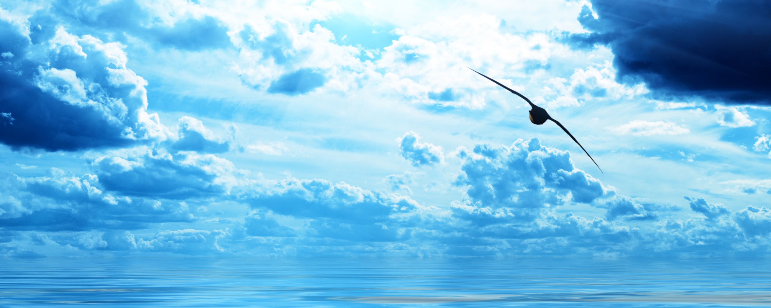 Лети как птица над волнами обои