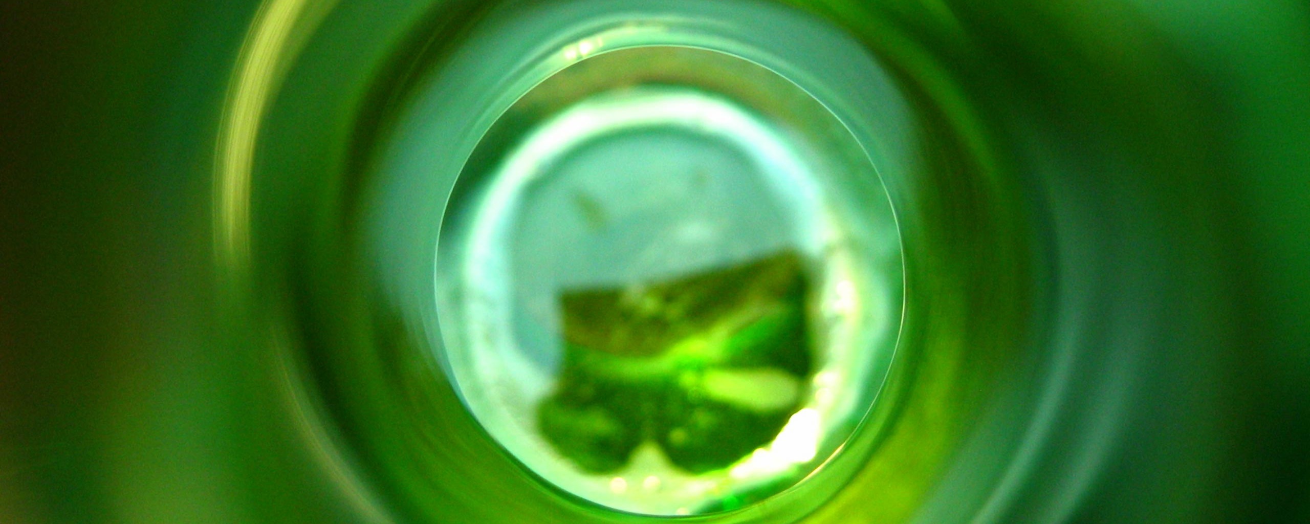 Зеленая бутылка обои