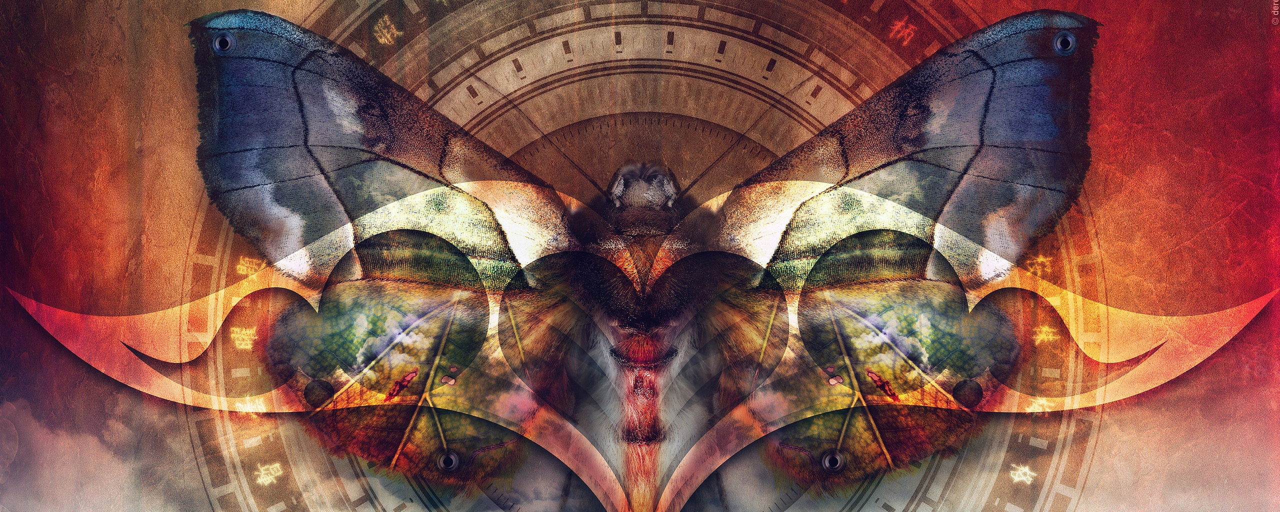 Красивая фэнтезийная бабочка обои