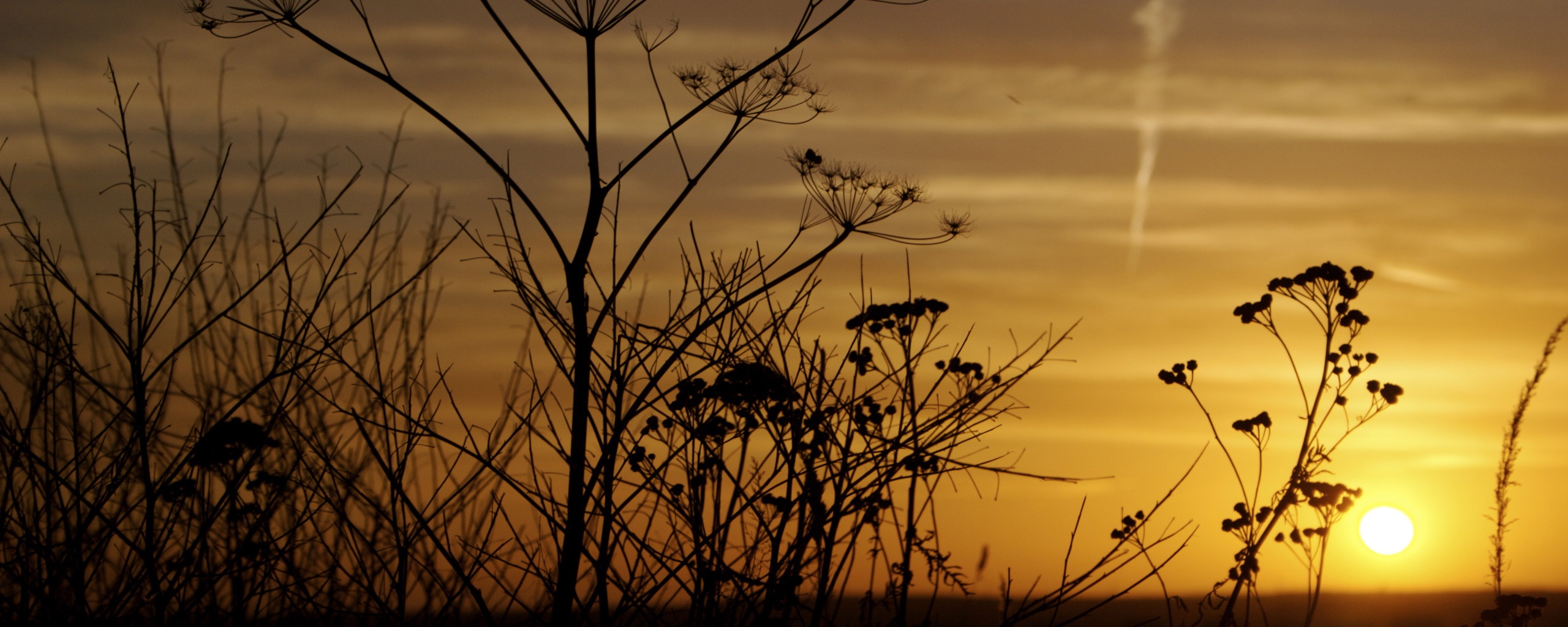 Степной закат обои