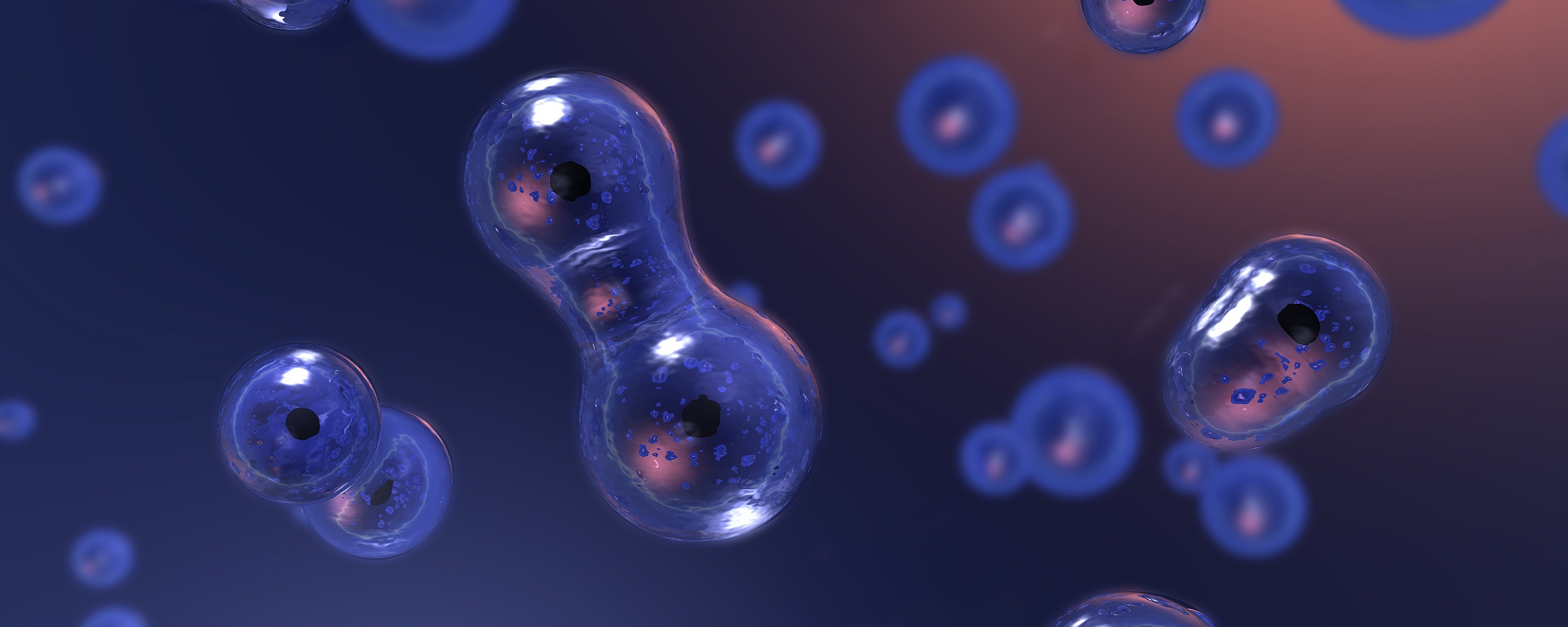 Деление обои