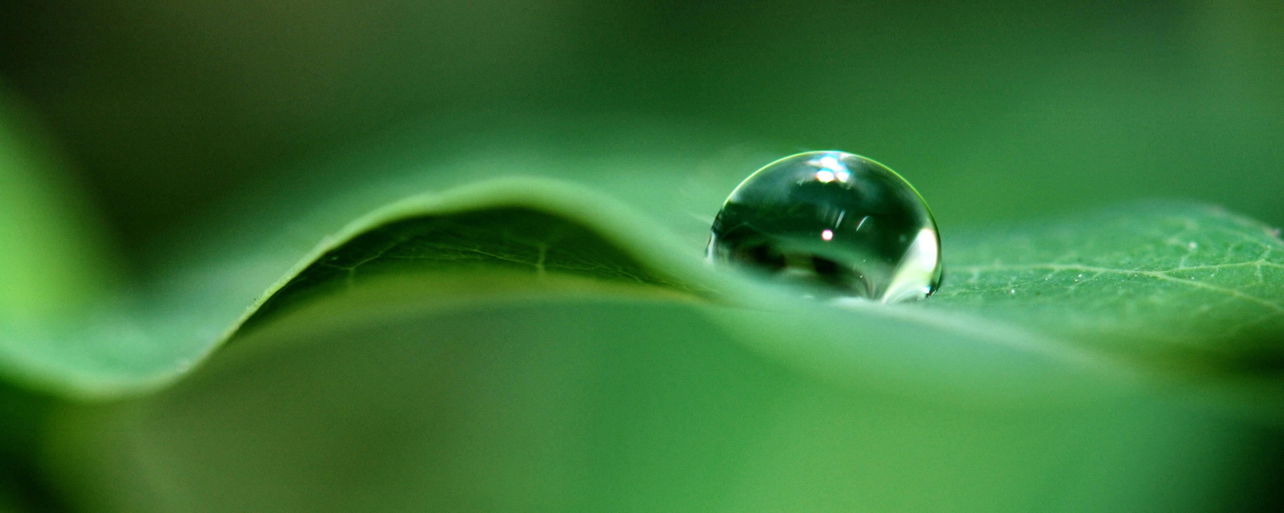 Фотография капли воды в макро обои