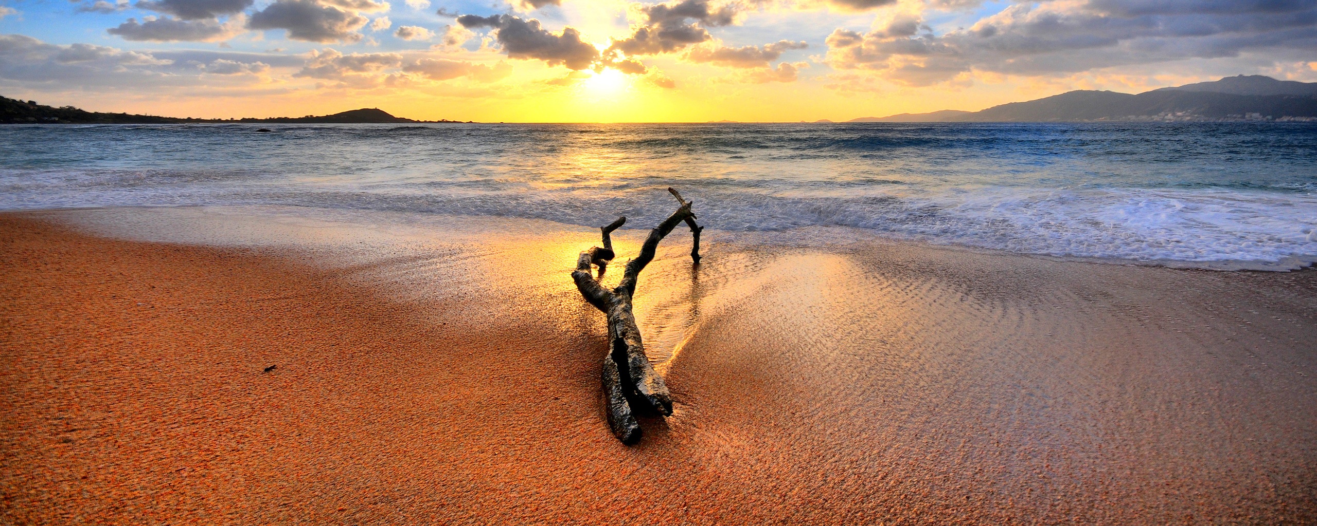 Коряга на пляже обои