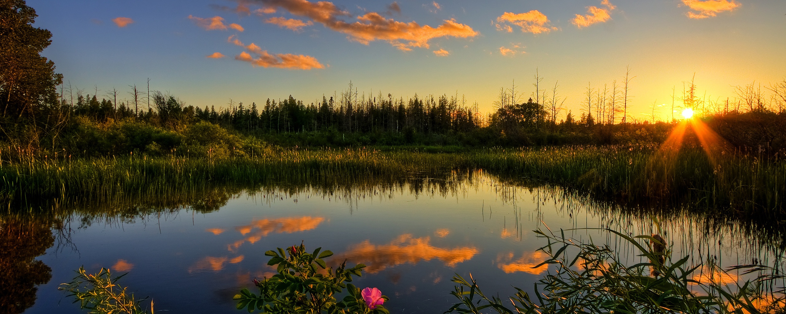 Вечерний закат обои