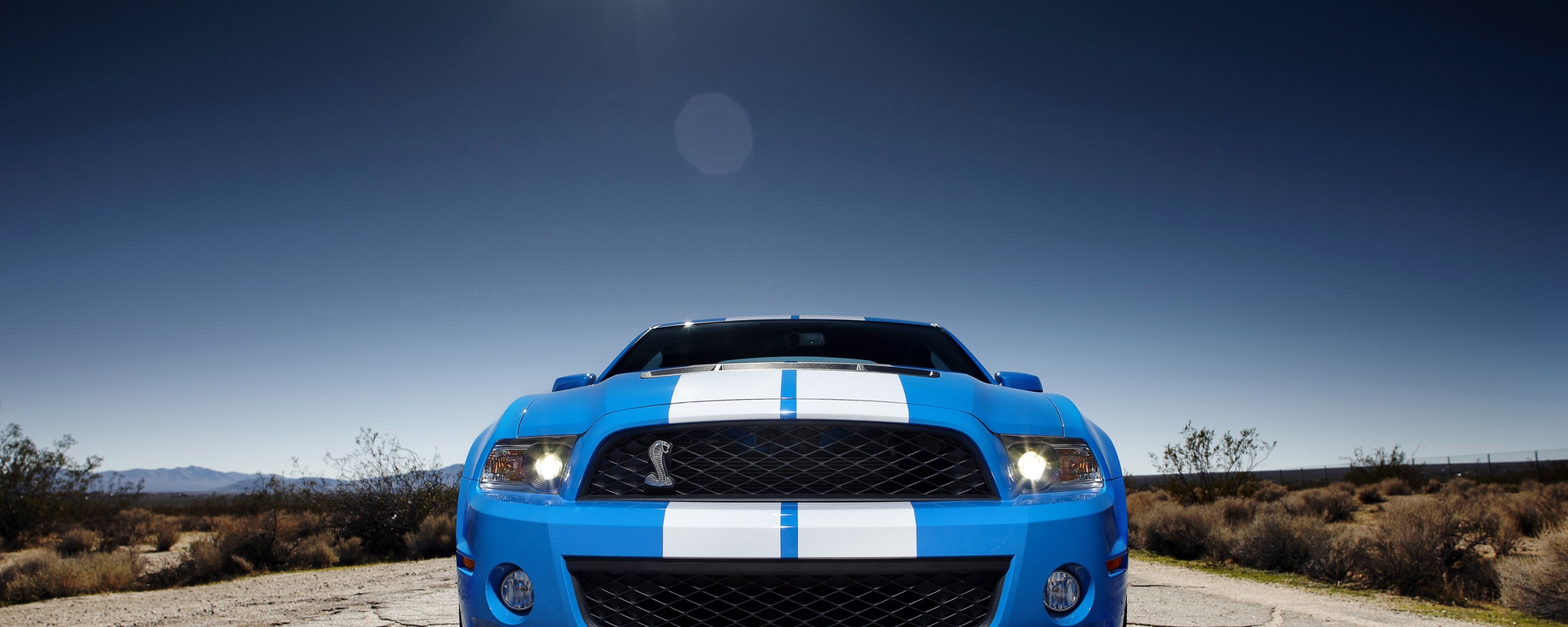 Форд Шелби обои