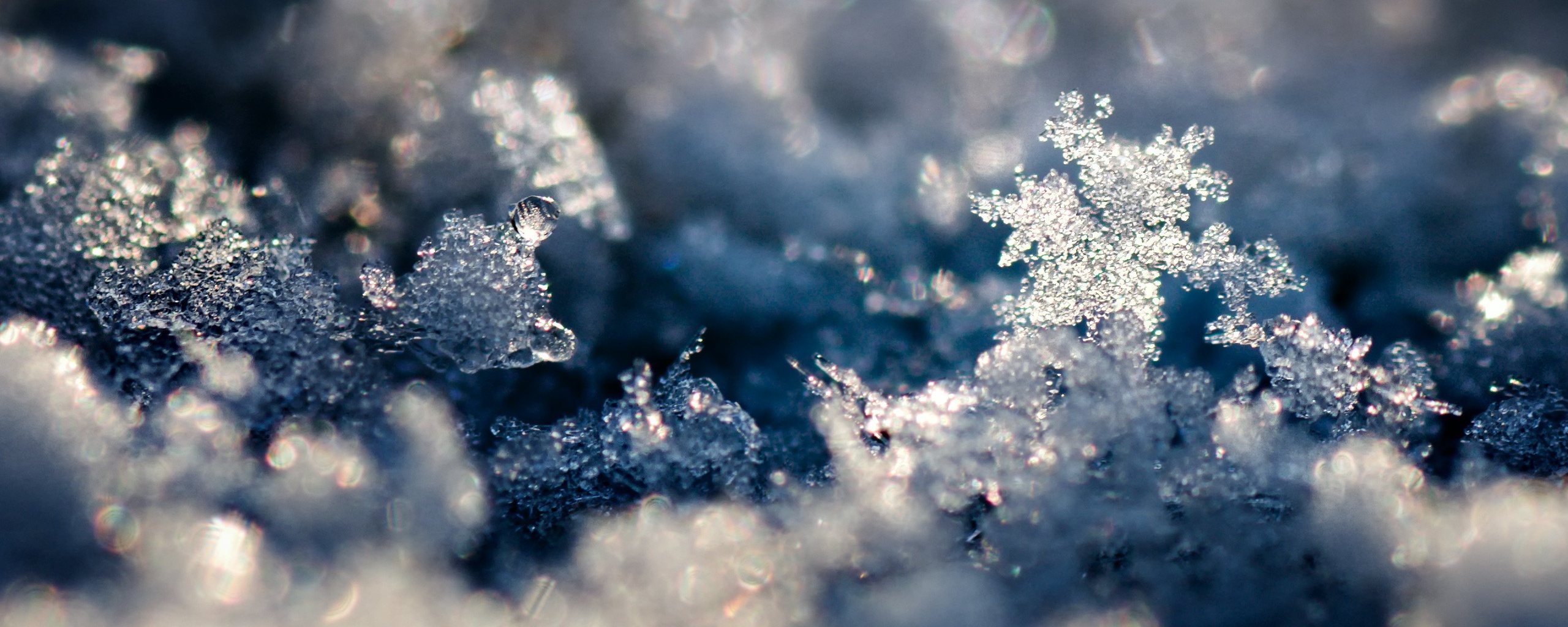 Макро фото снега обои