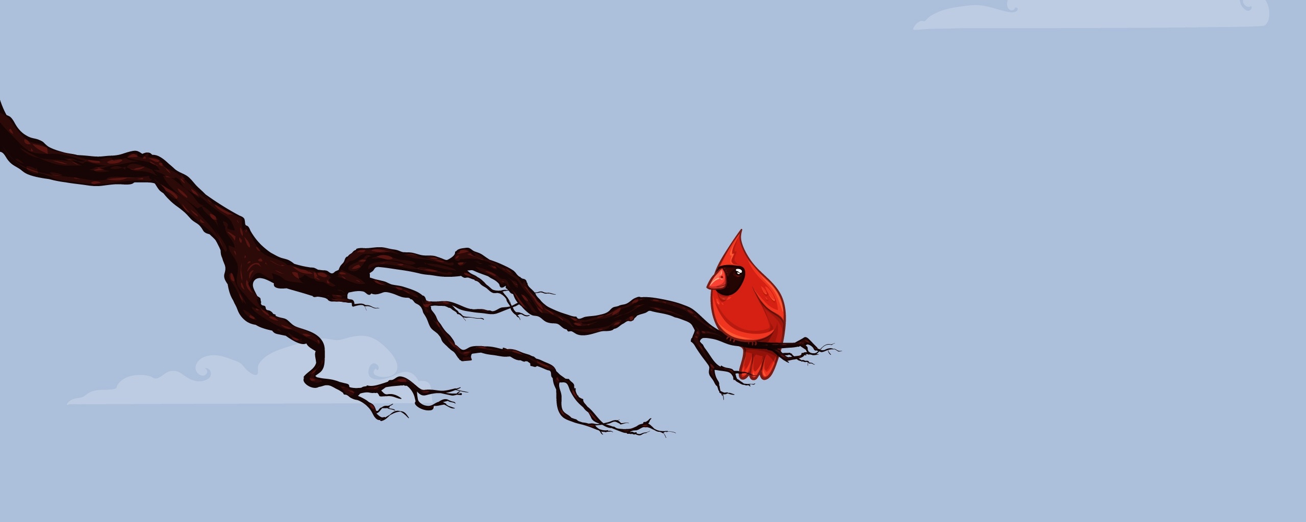 Красная птица на ветке обои