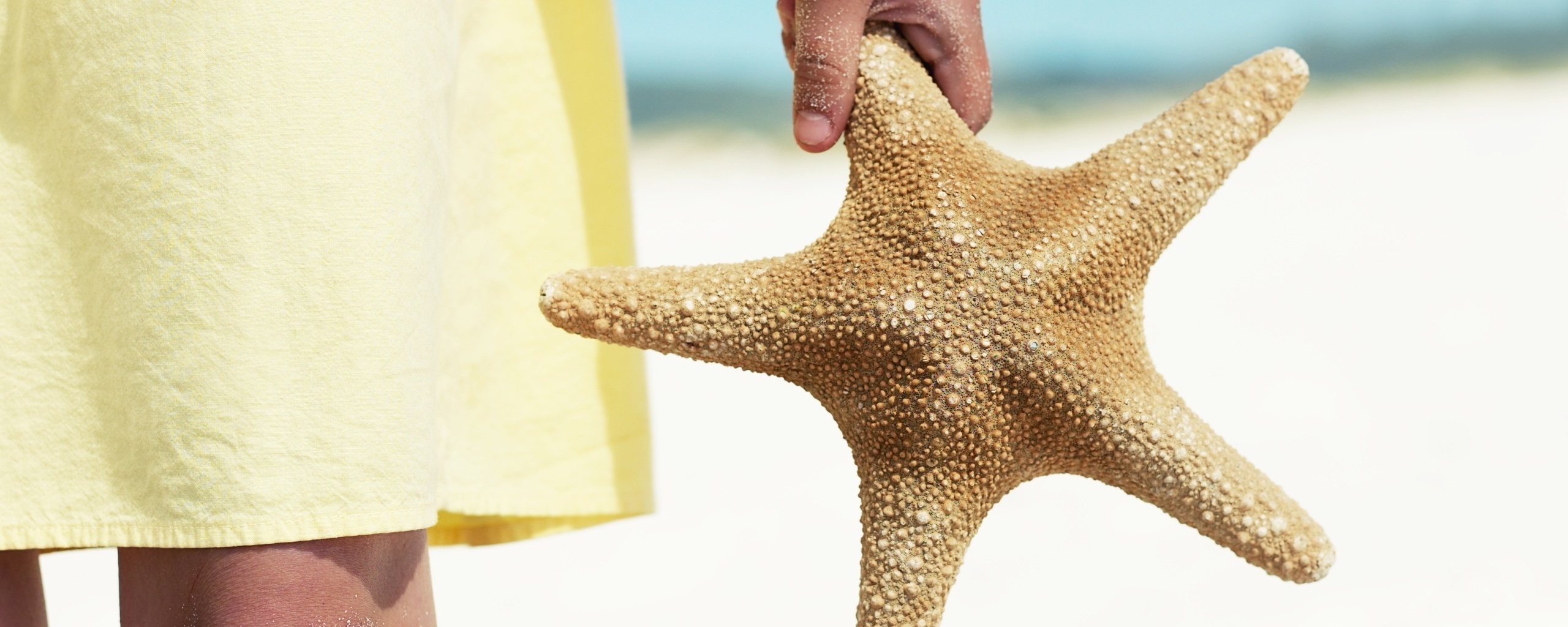 Морская звезда в руке обои