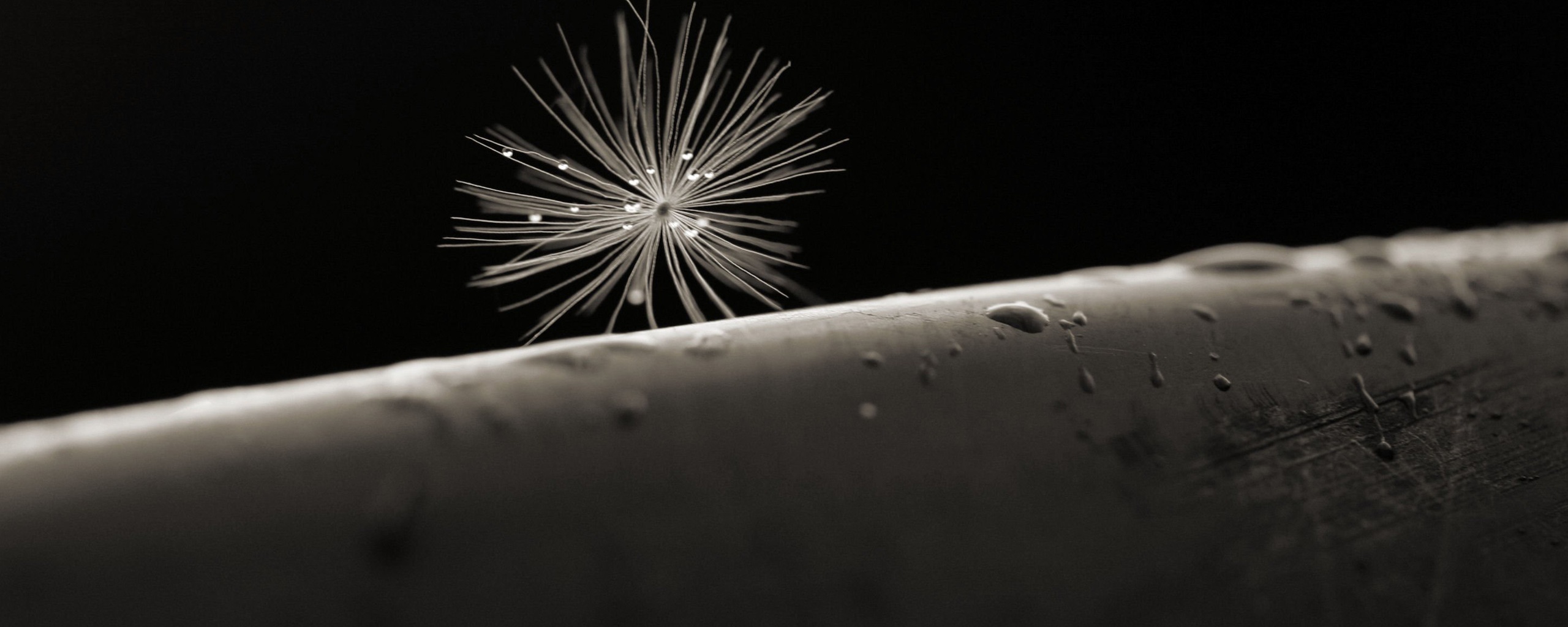 Прилипшая пушинка обои