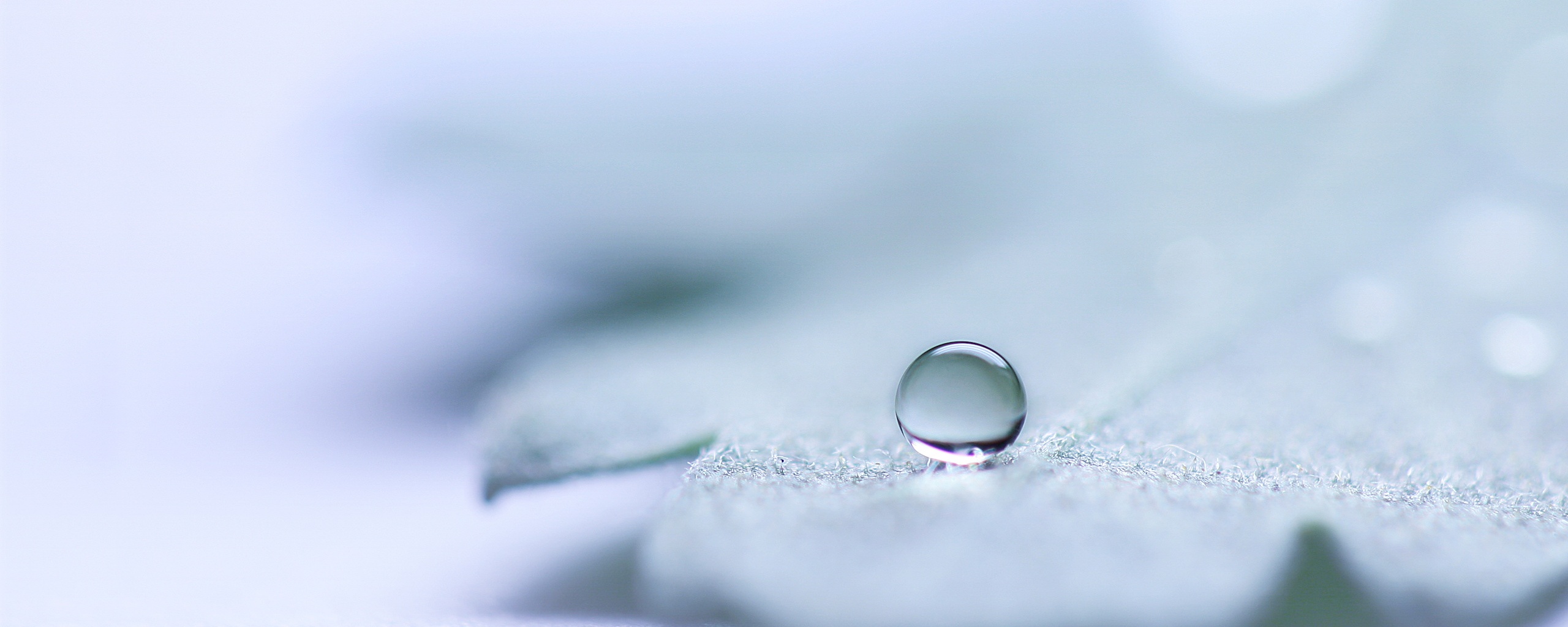 Капля на замёрзжем листе обои