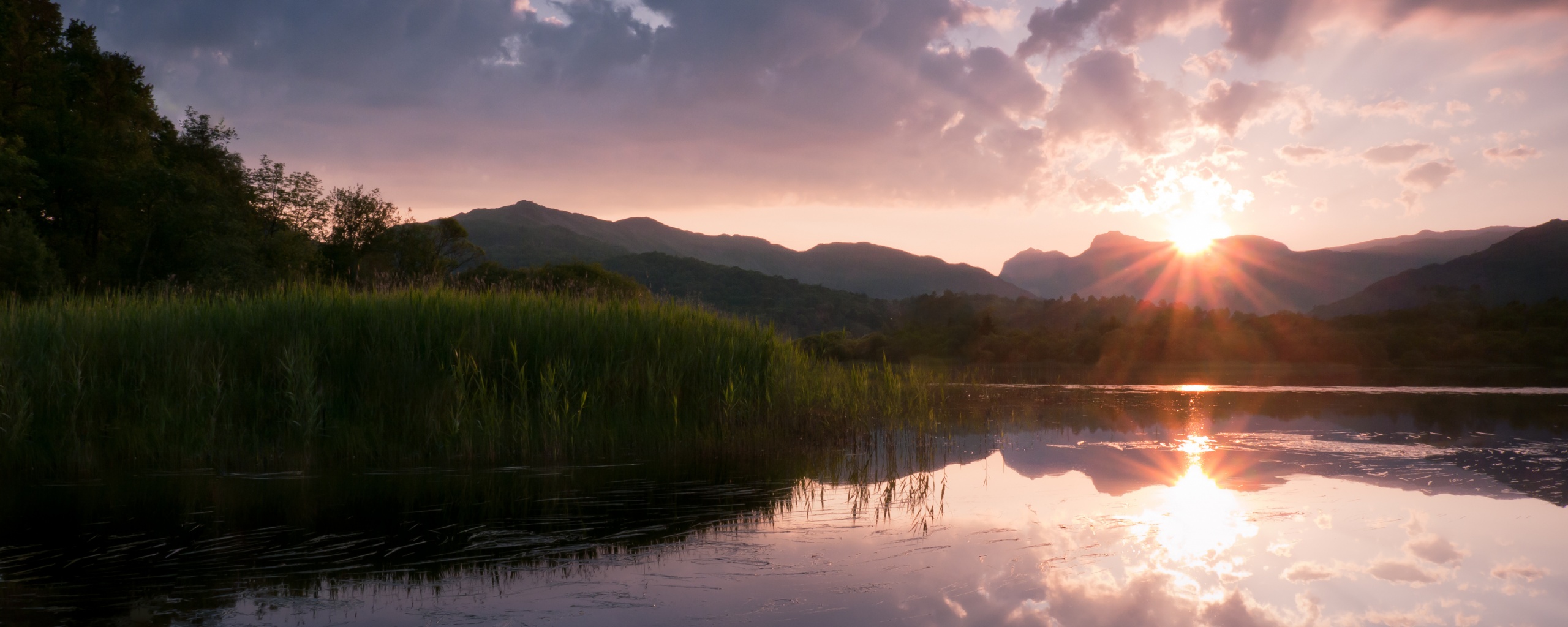Закат за лесом обои