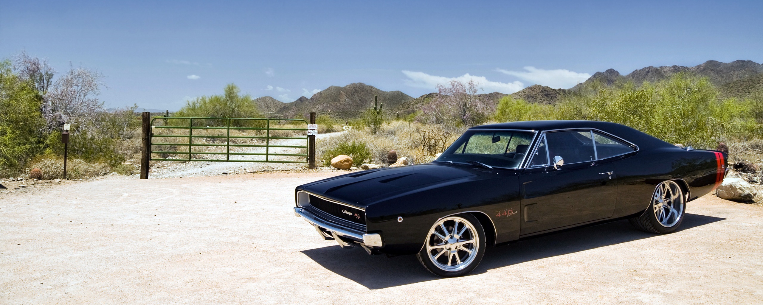 Мускулкар под палящим солнцем обои