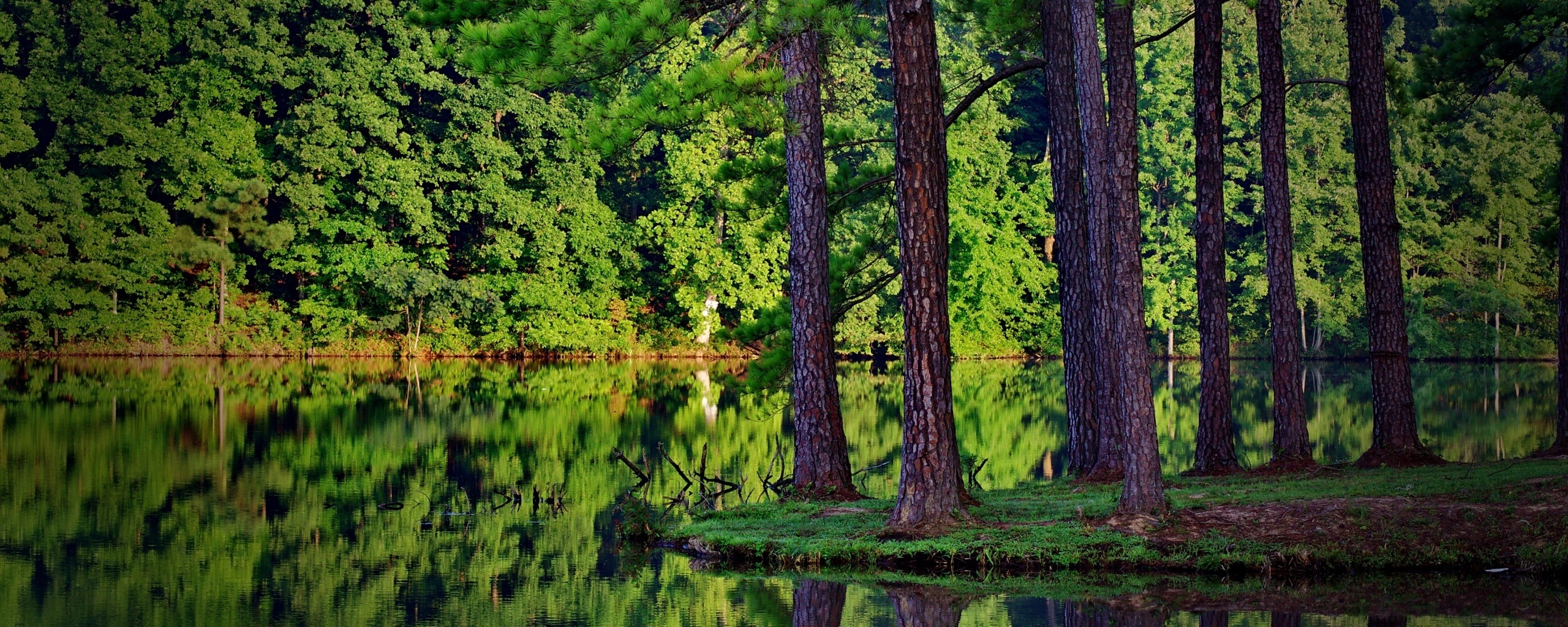 Островок посреди озера обои