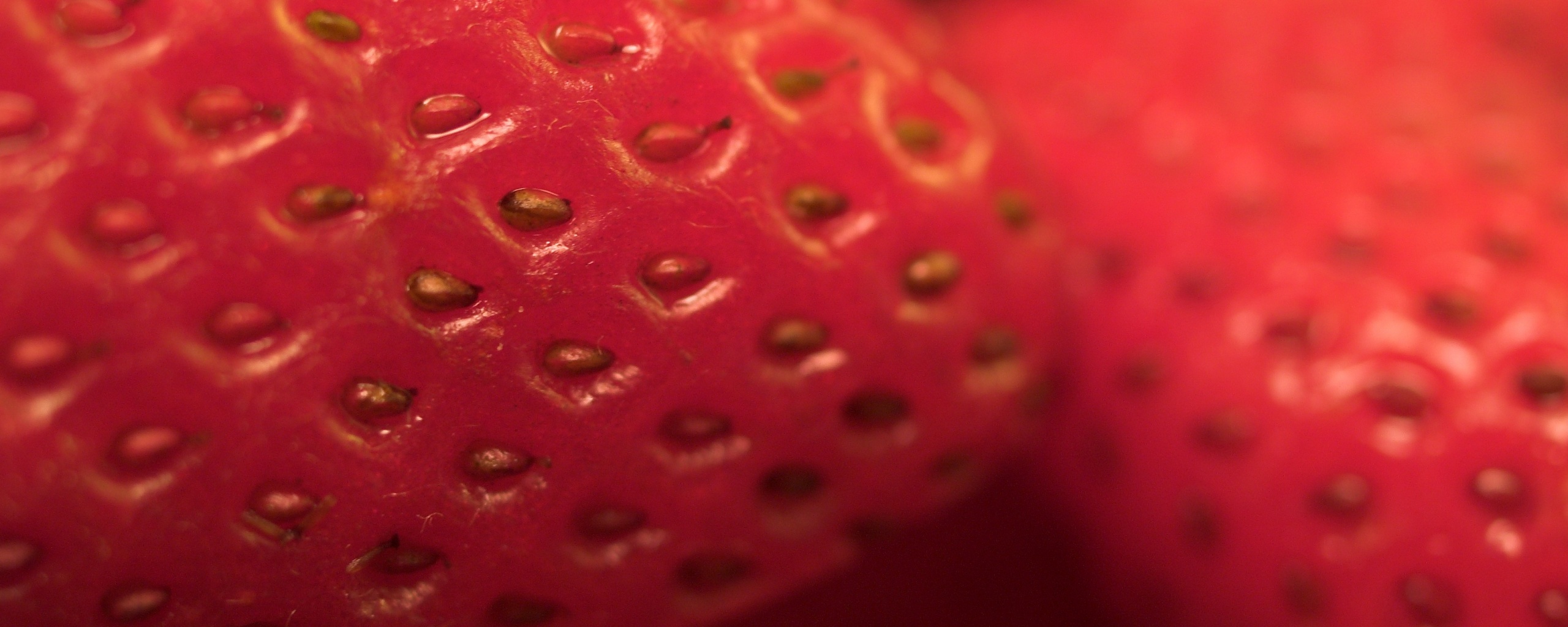 Нежная клубничка обои