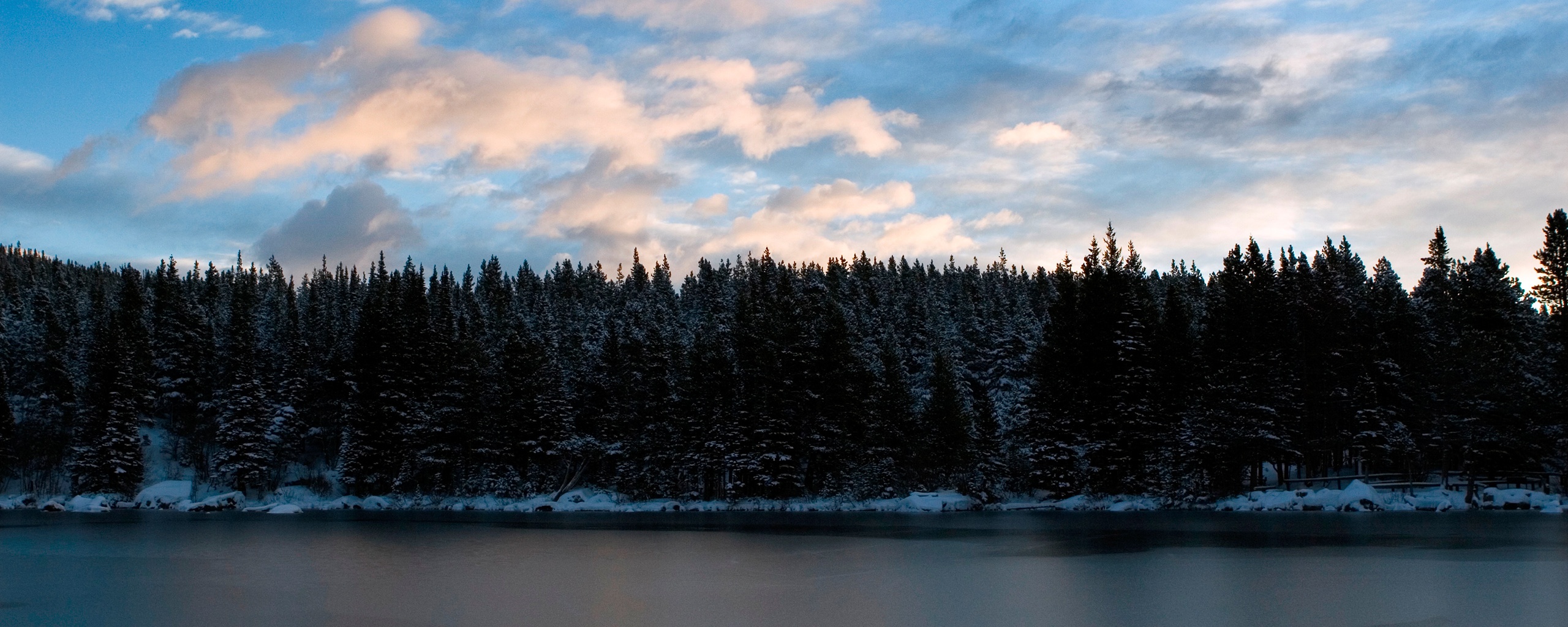 Лес на озере обои