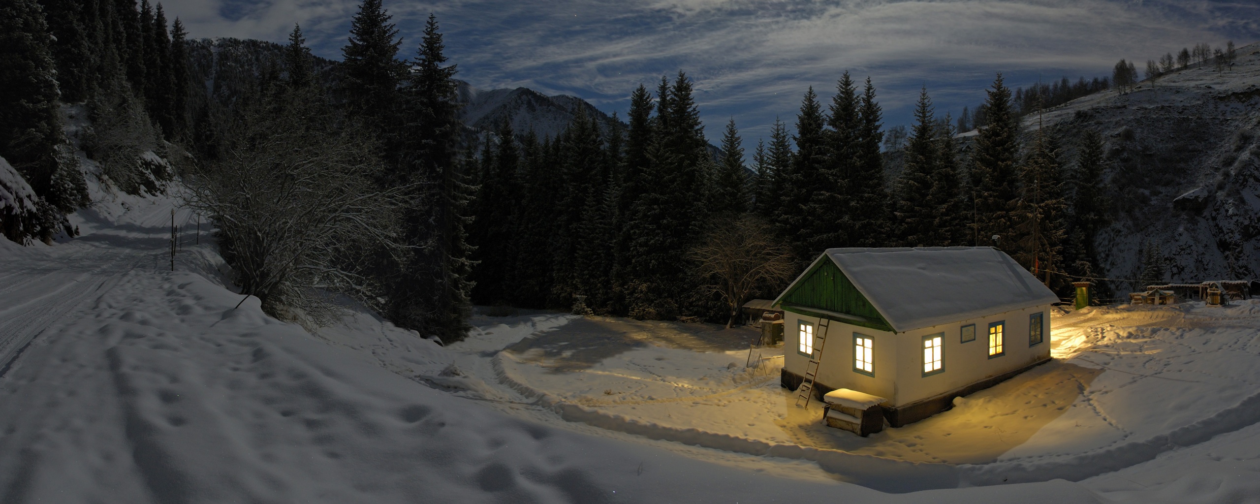 Один в зимнем лесу обои