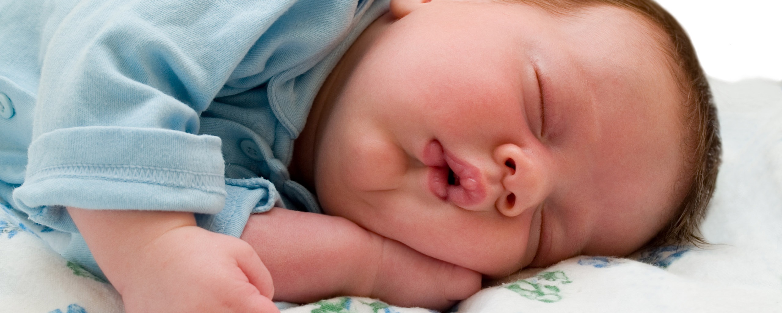 Спящая прелесть обои