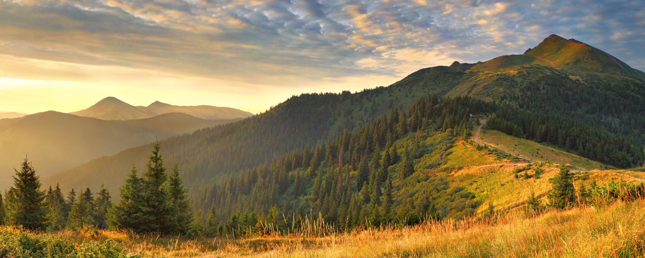 Предгорье обои