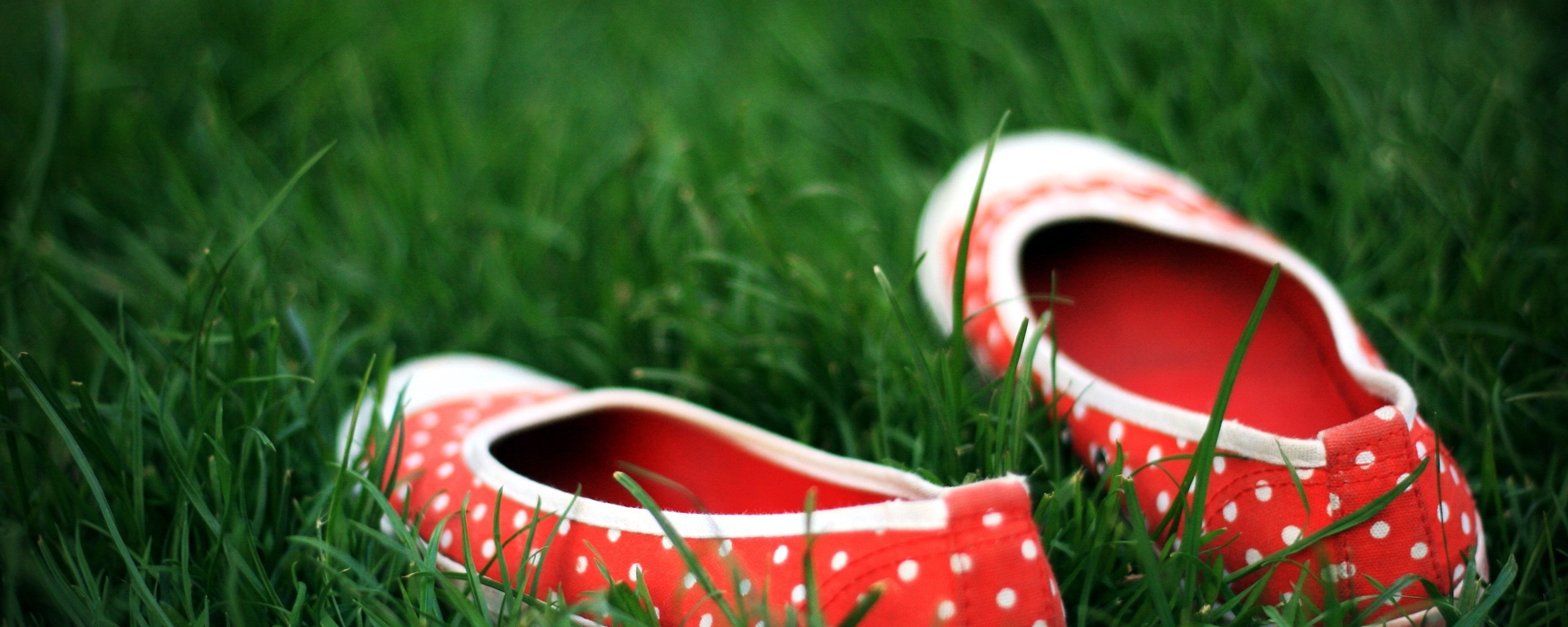 Красные тапки в горошек обои